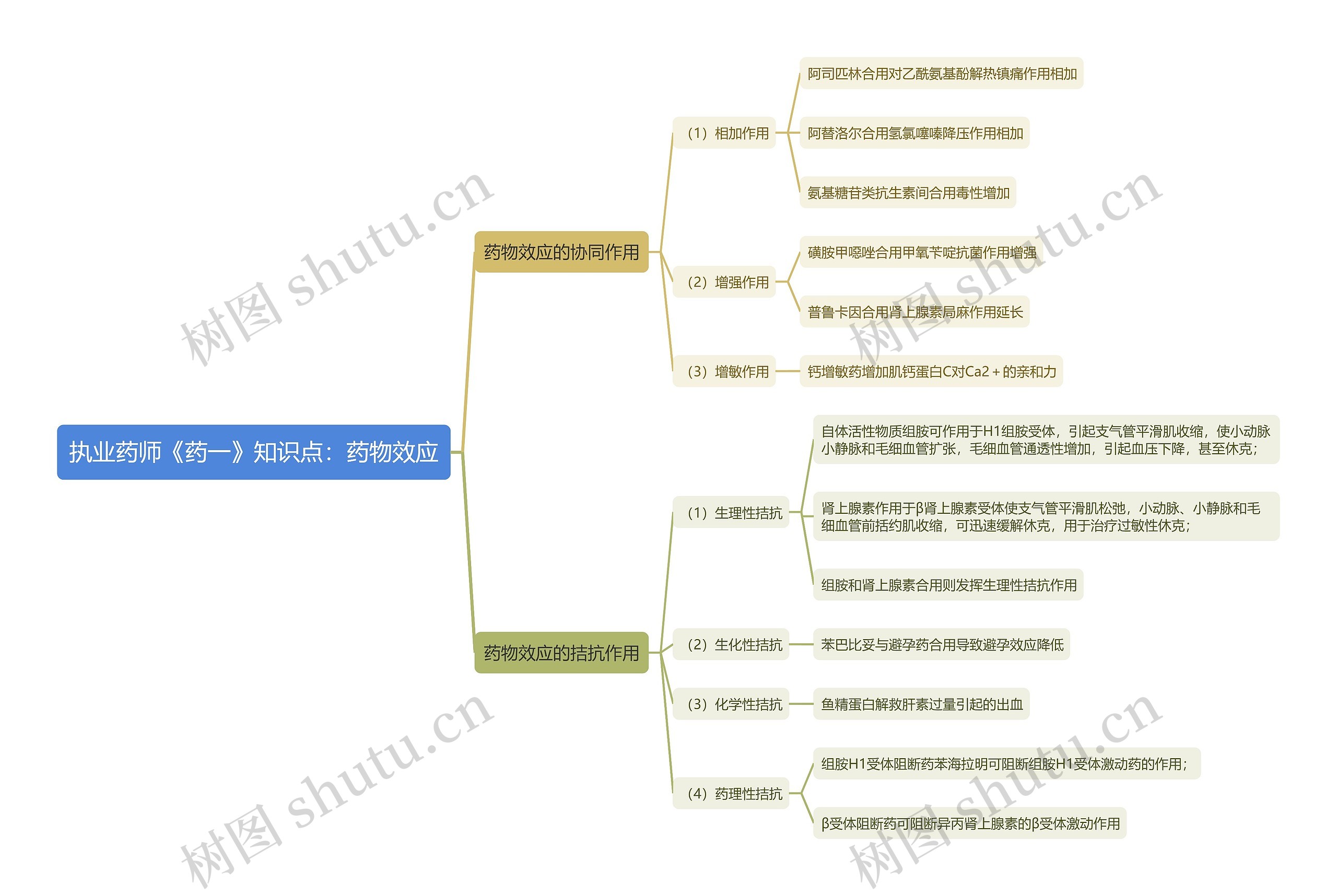 执业药师《药一》知识点：药物效应思维导图