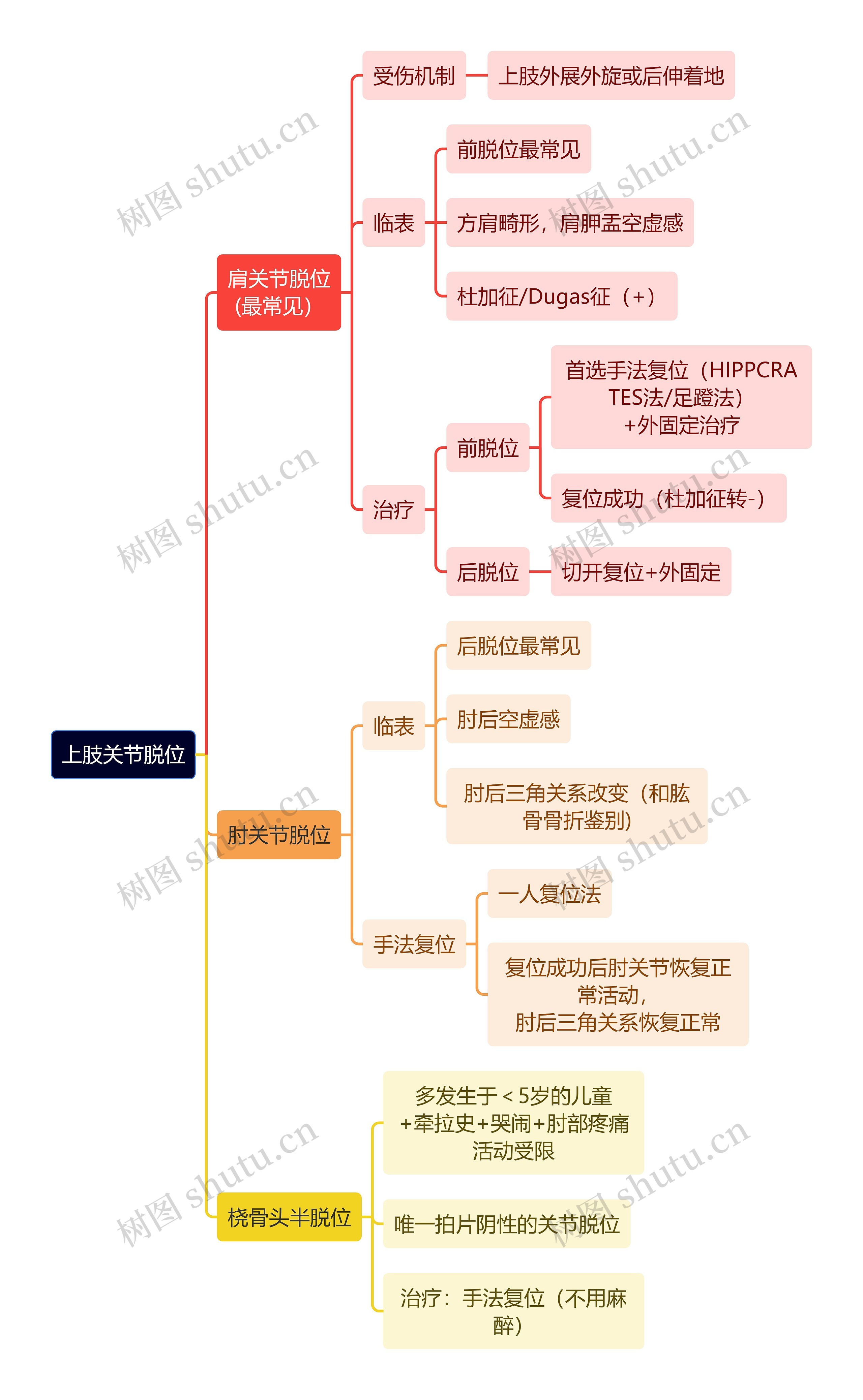 骨学知识上肢关节脱位思维导图