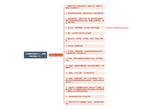 《人体解剖学知识十二 周围神经系统（1）》思维导图