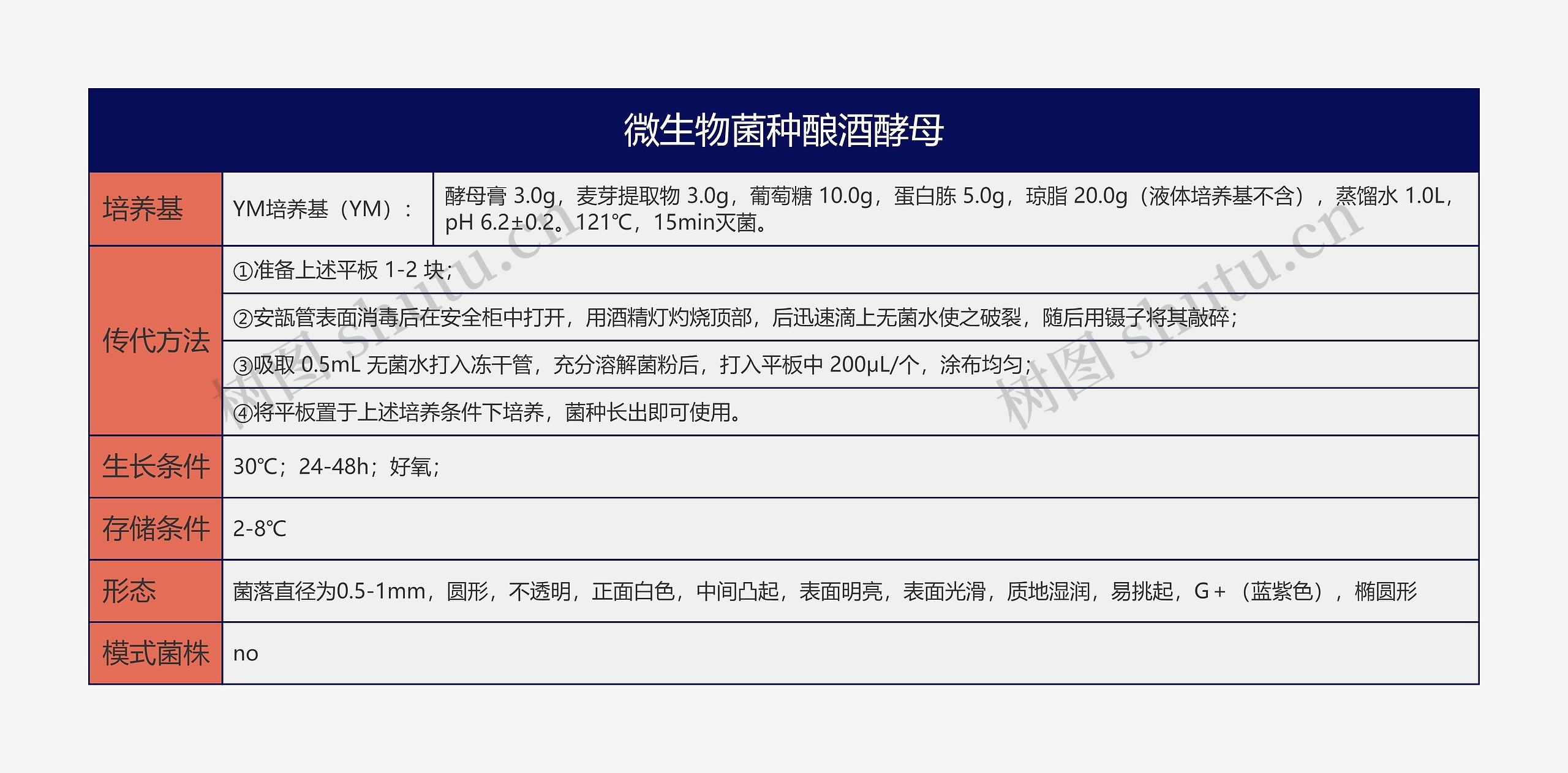 微生物菌种酿酒酵母