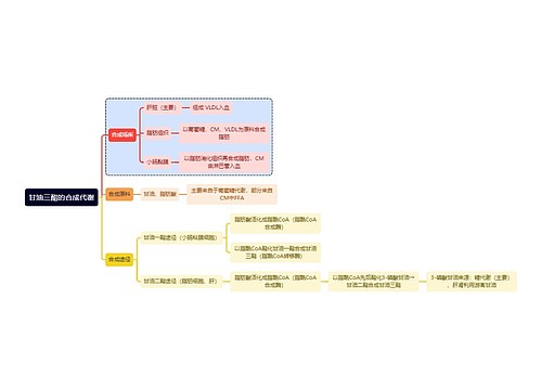 医学知识甘油三酯的合成代谢思维导图