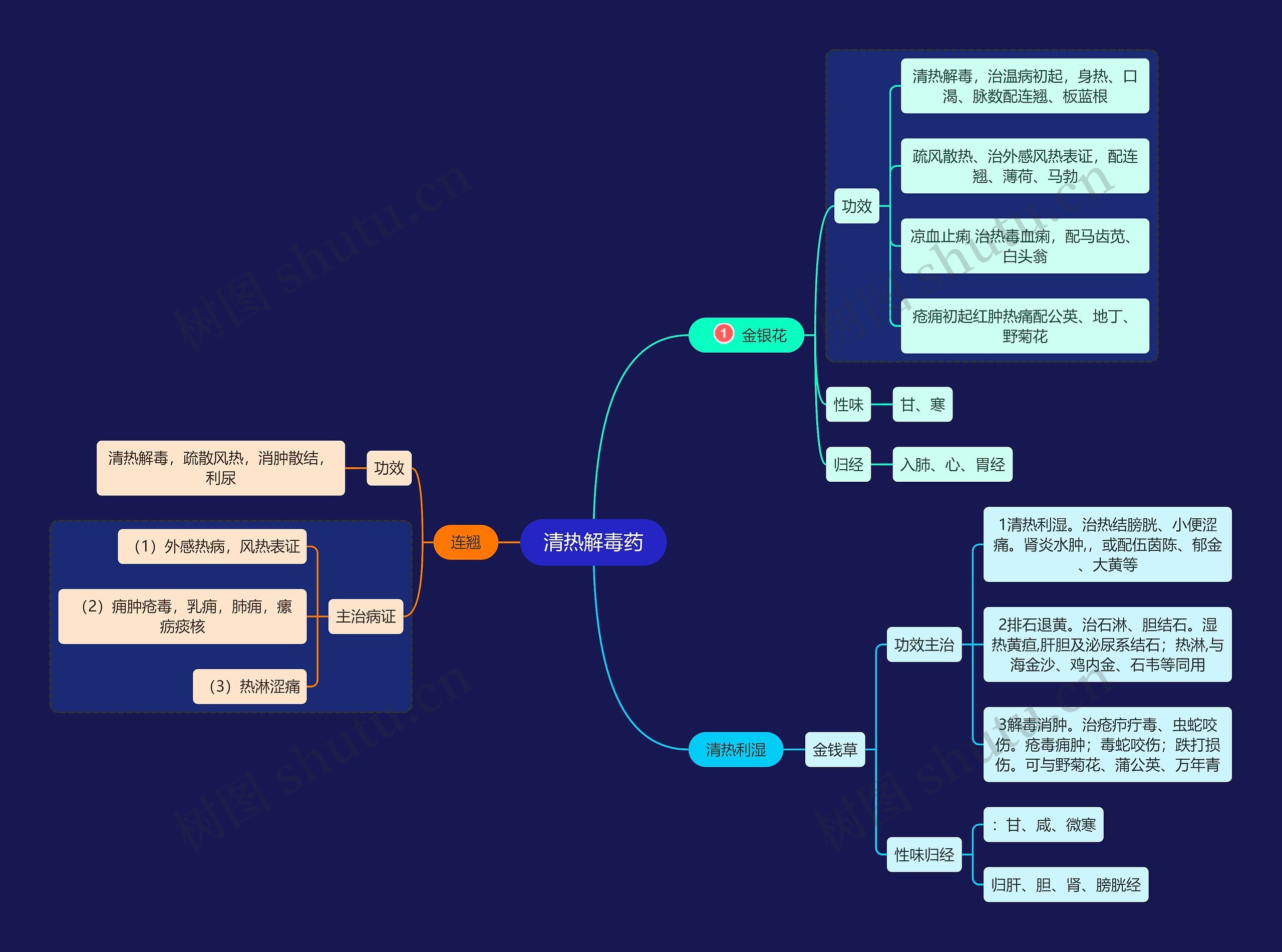 医学知识清热解毒药思维导图