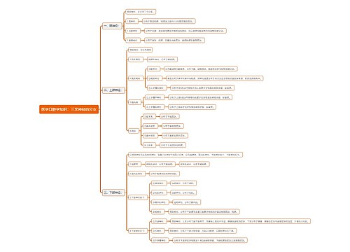 医学口腔学知识：三叉神经的分支思维导图