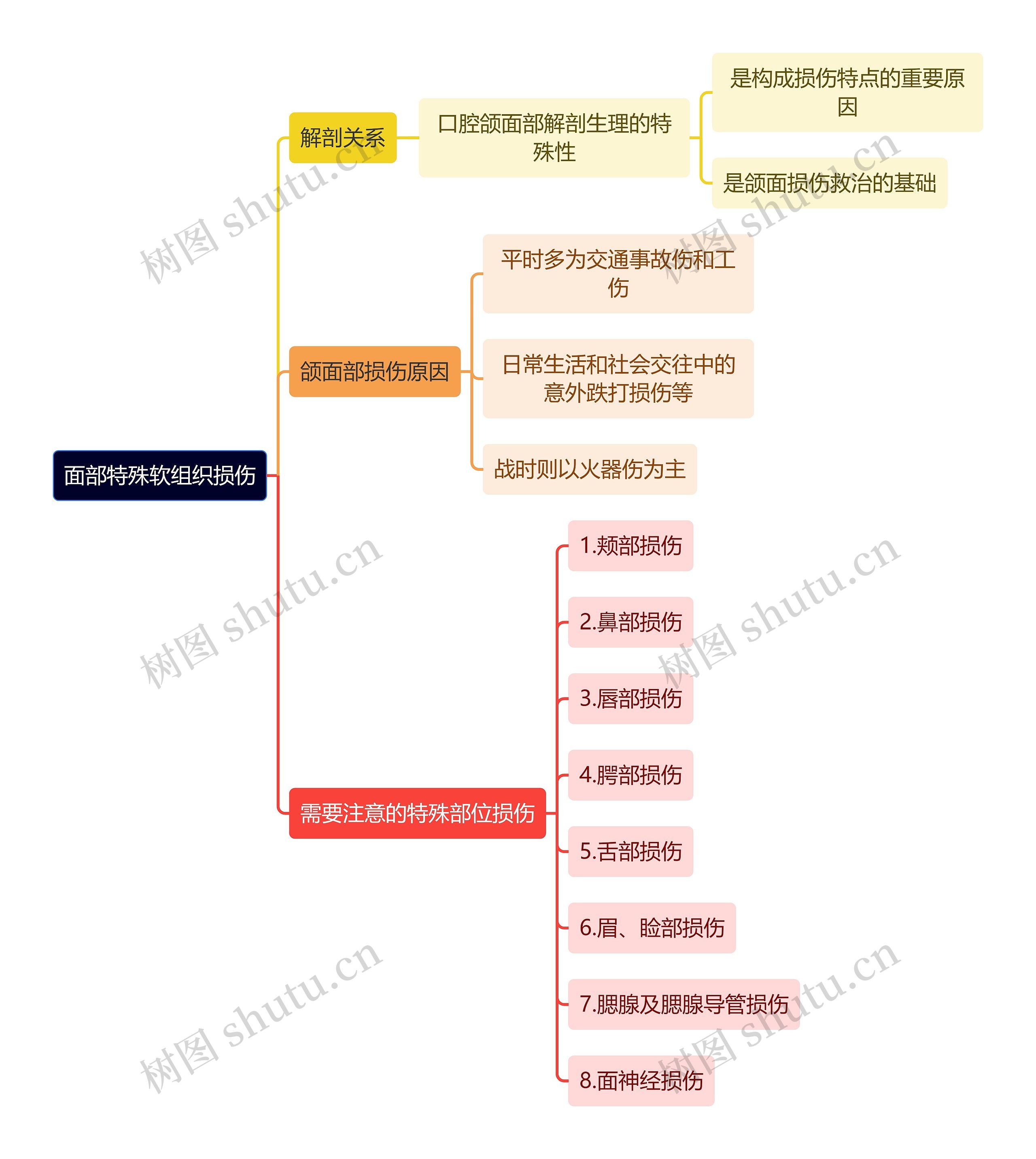 医学知识面部特殊软组织损伤思维导图