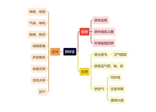 中医知识肺辩证思维导图