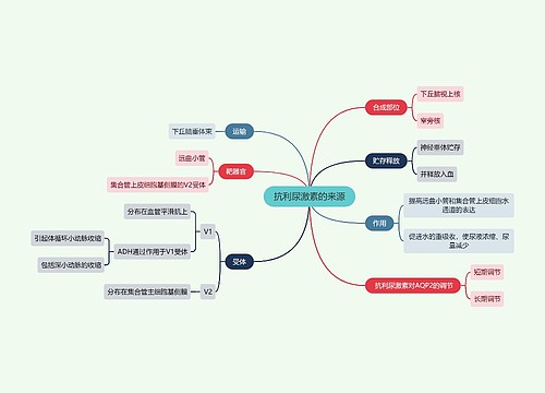 医学知识抗利尿激素的来源思维导图