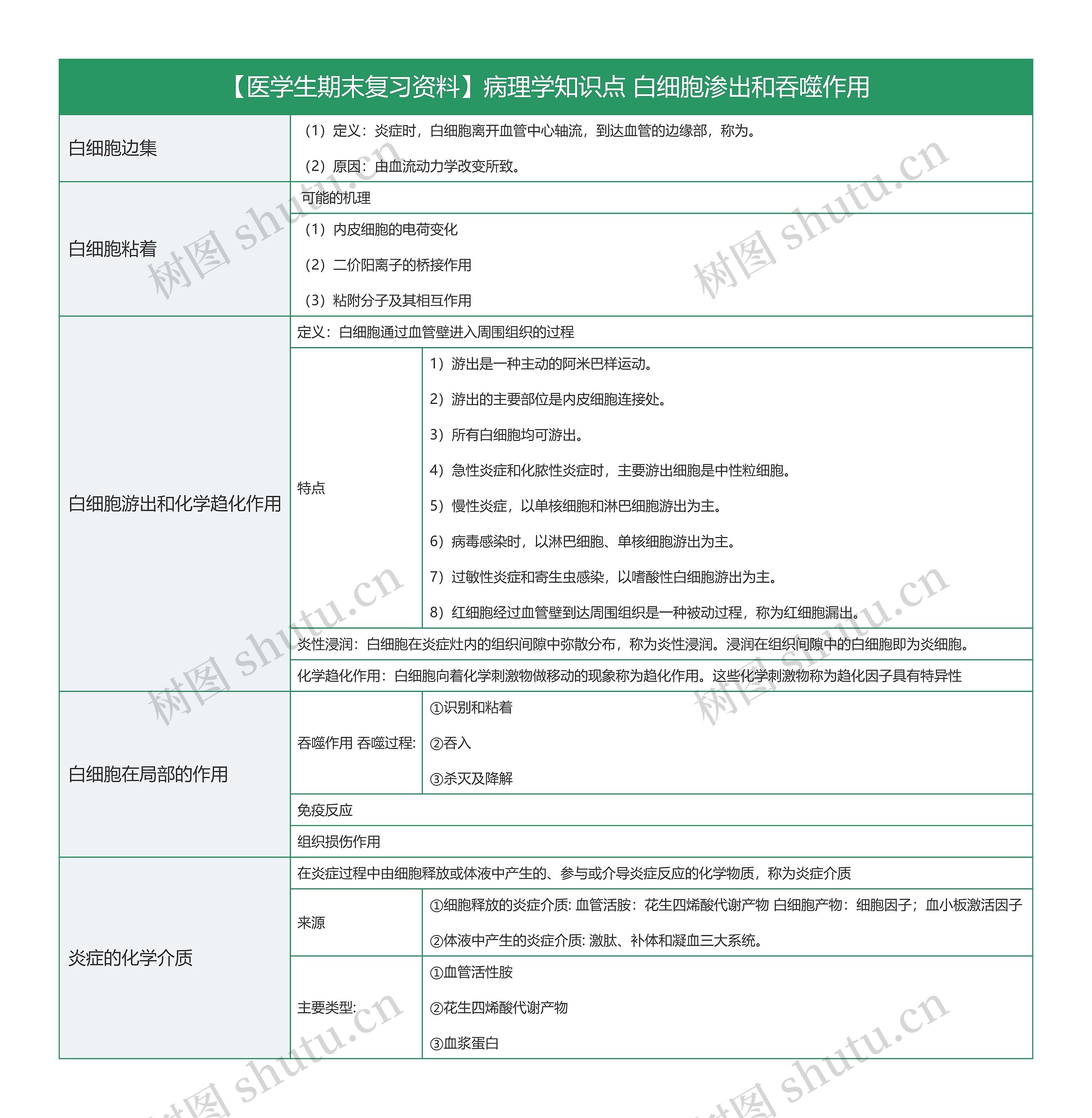 【医学生期末复习资料】病理学知识点 白细胞渗出和吞噬作用思维导图