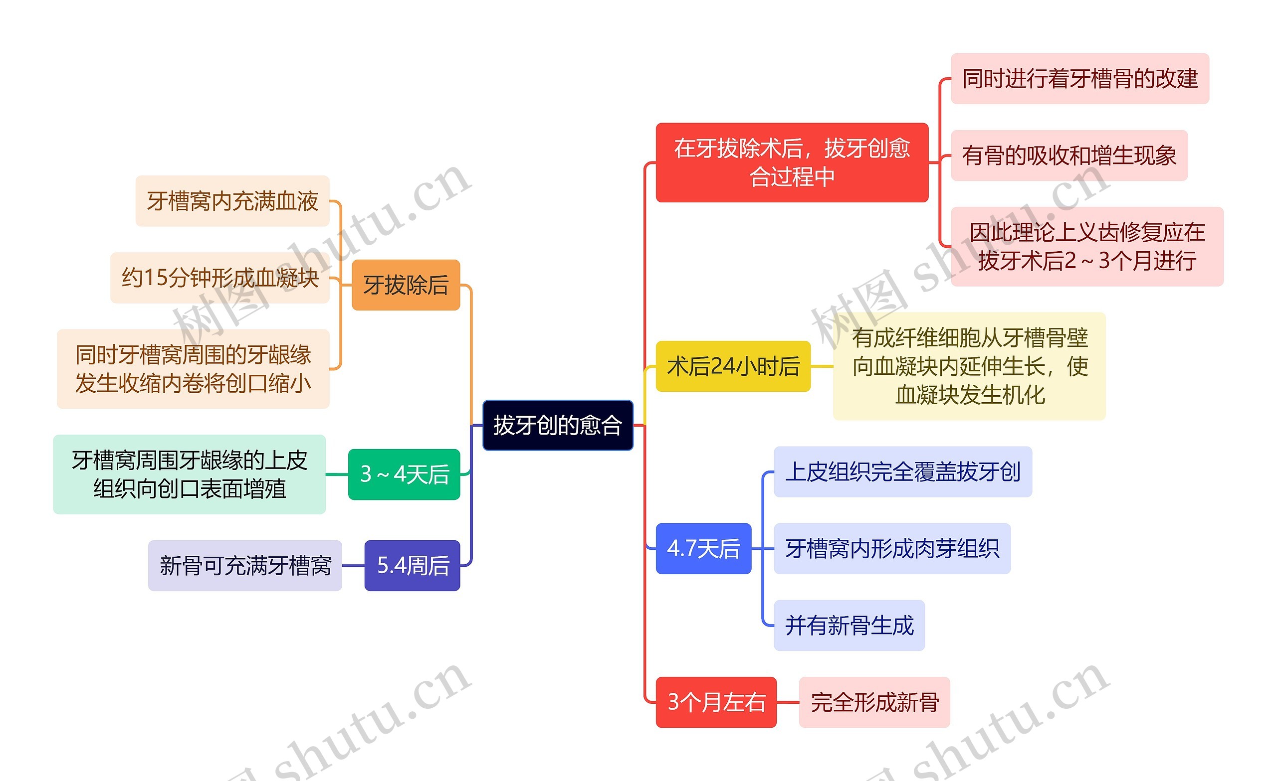 医学知识拔牙创的愈合思维导图