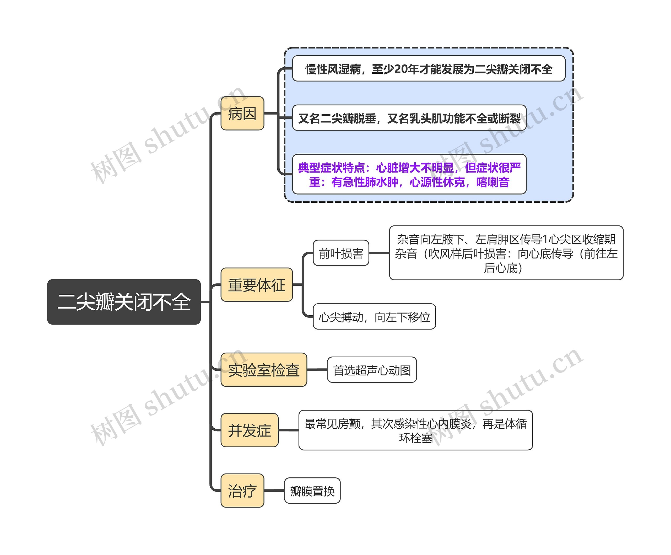 内科学知识二尖瓣关闭不全斯思维导图