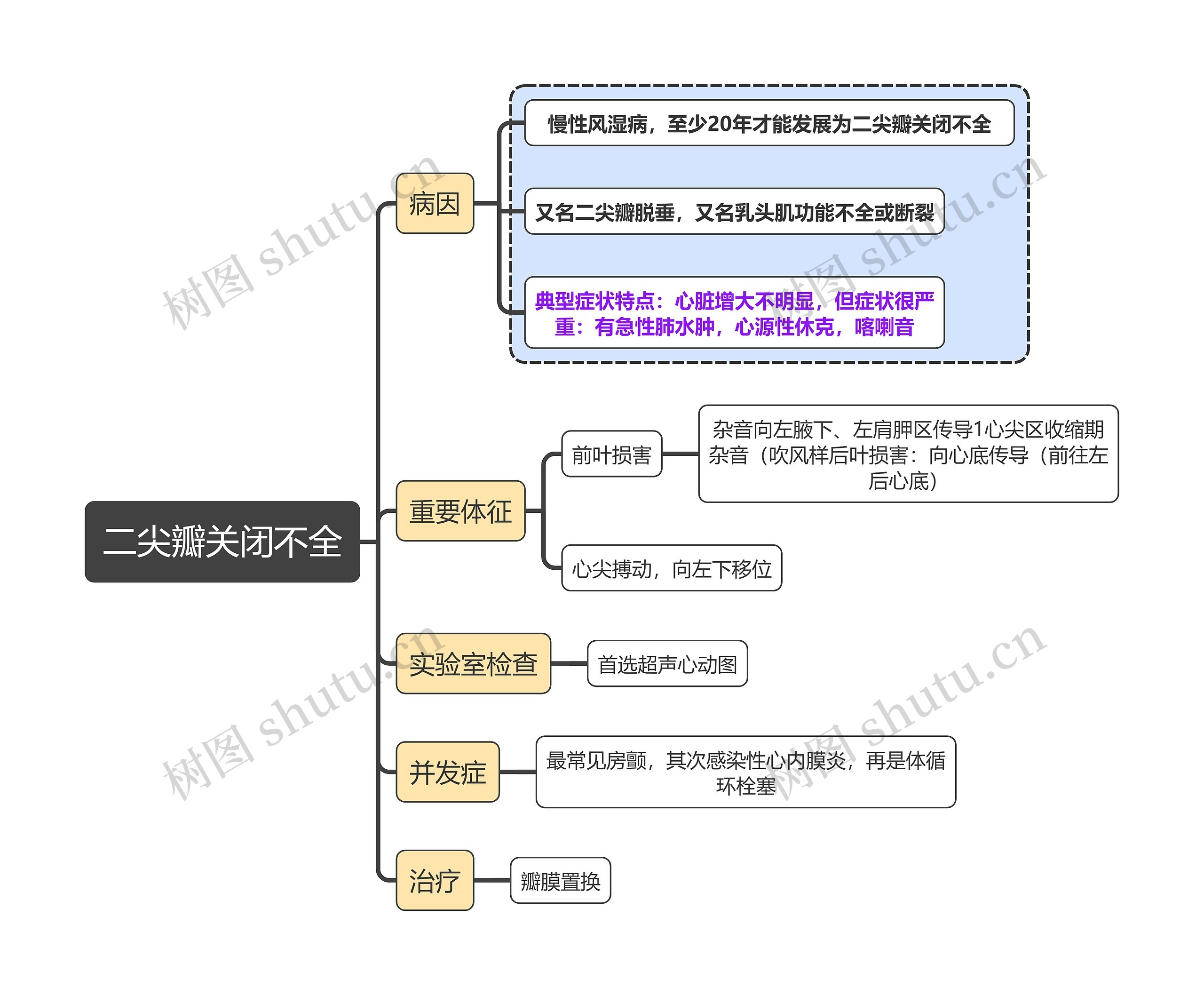 内科学知识二尖瓣关闭不全斯思维导图高清图 内科学知识二尖瓣关闭不全斯思维导图