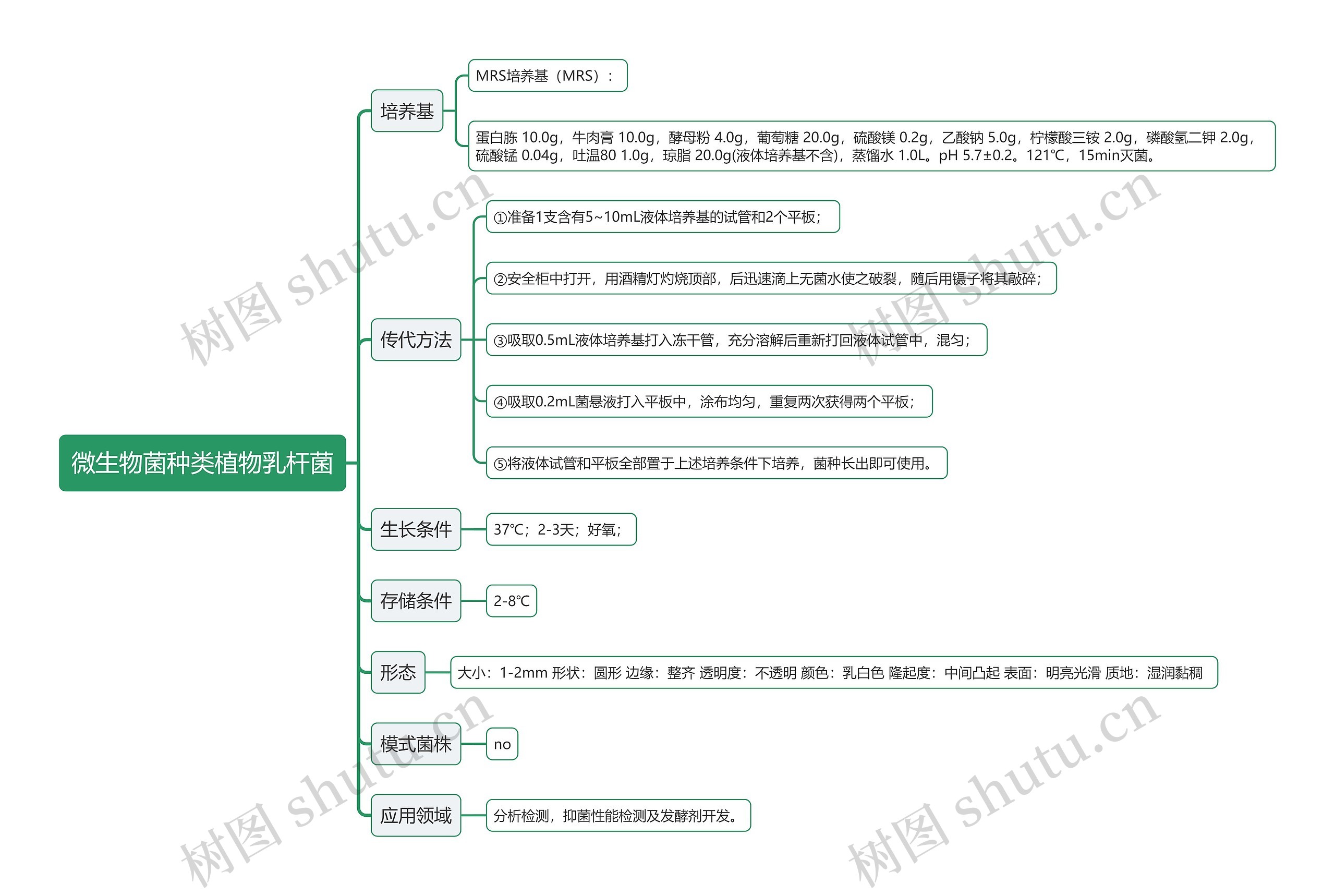 微生物菌种类植物乳杆菌思维导图