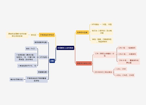 医学知识宫颈鳞状上皮内病变思维导图