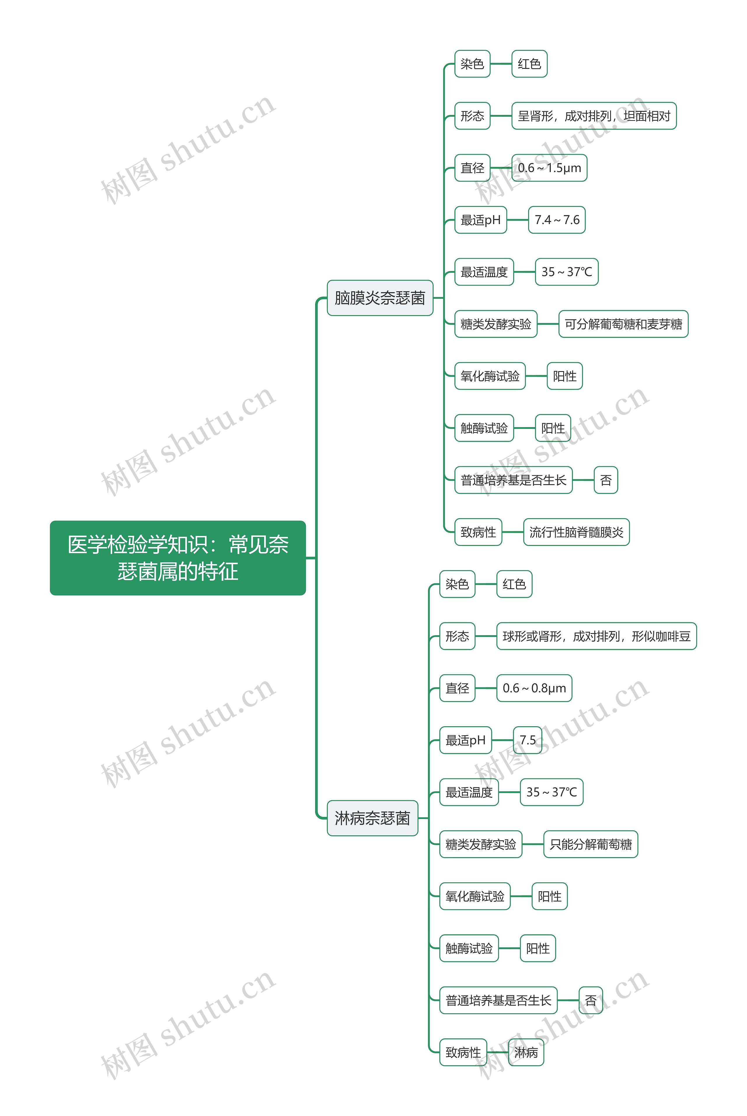 医学检验学知识：常见奈瑟菌属的特征思维导图