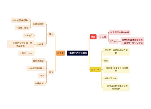 医学知识下丘脑对内脏的调节思维导图
