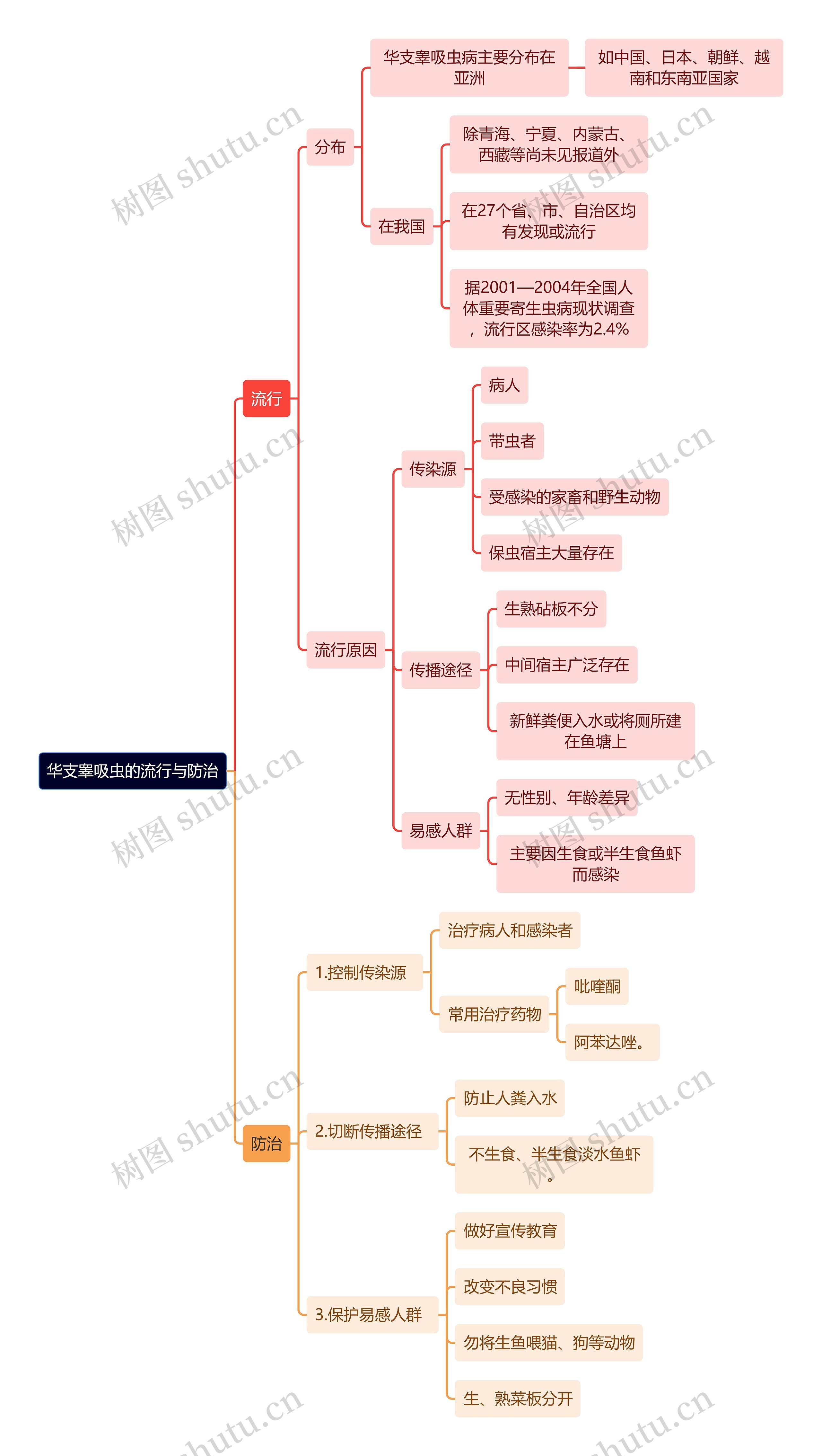 医学知识华支睾吸虫的流行与防治思维导图