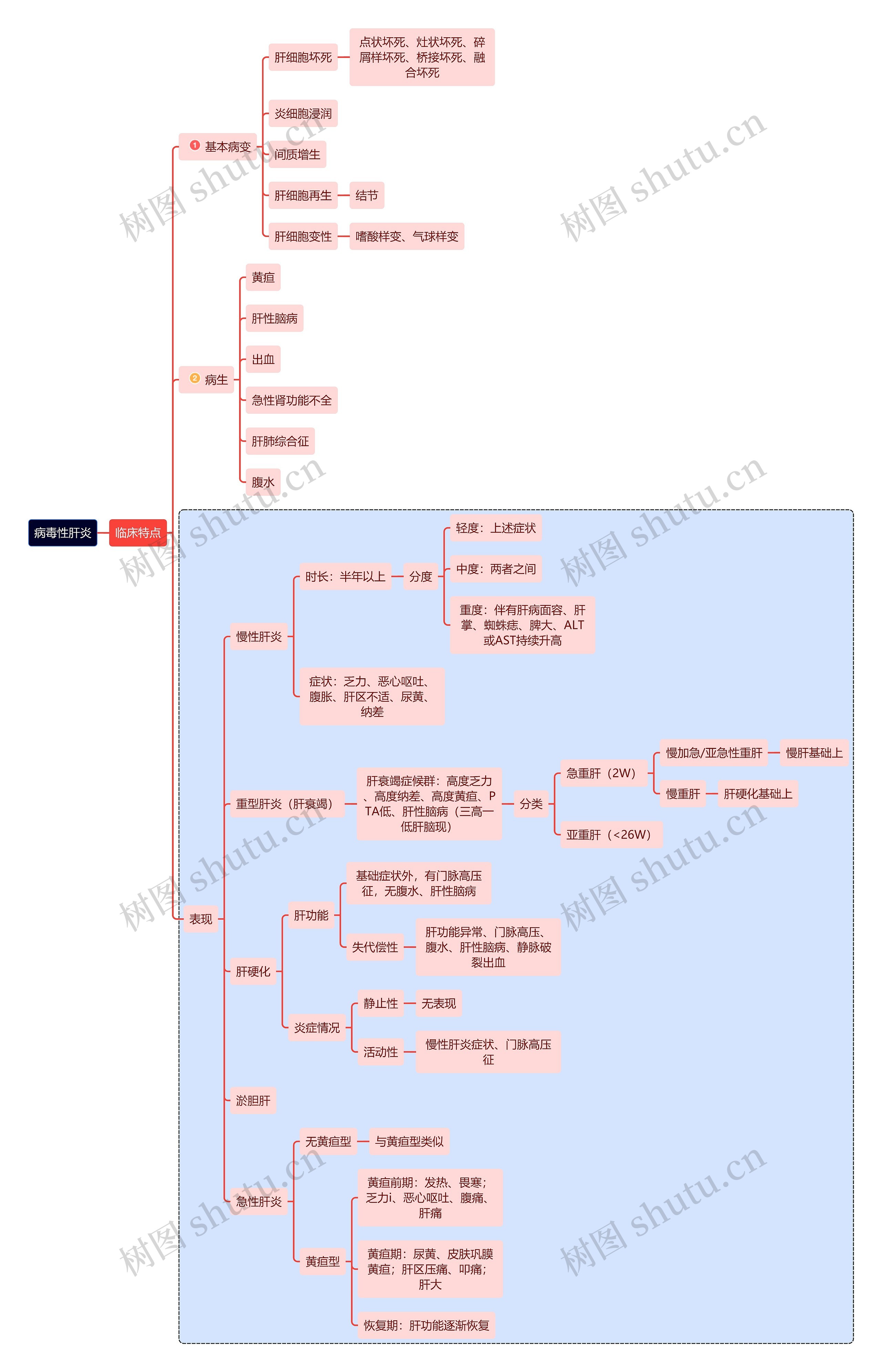 医学知识病毒性肝炎临床表现思维导图