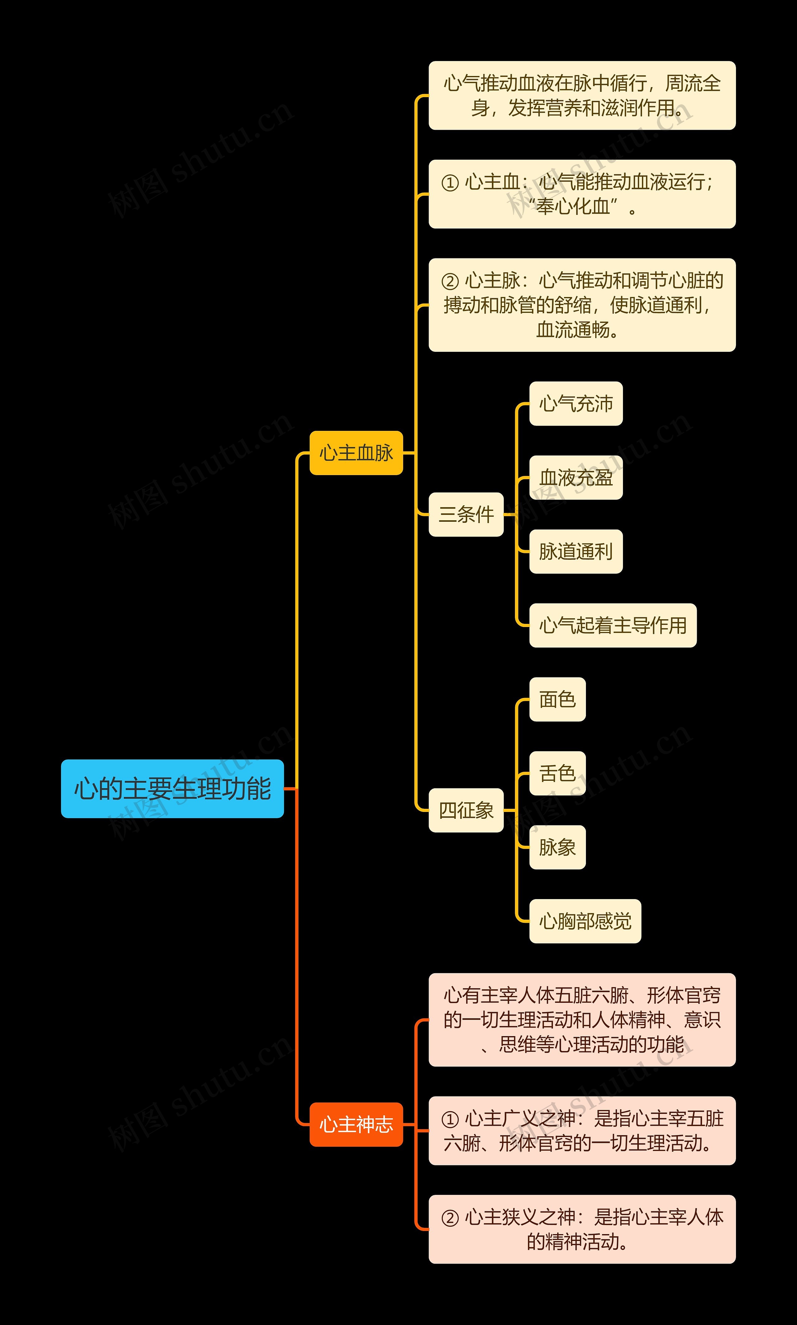 中医知识心的主要生理功能思维导图