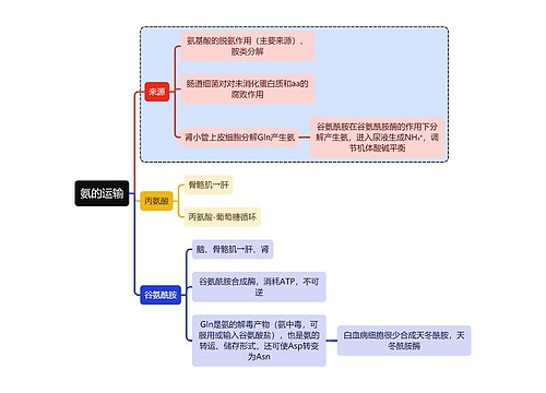 医学知识氨的运输思维导图