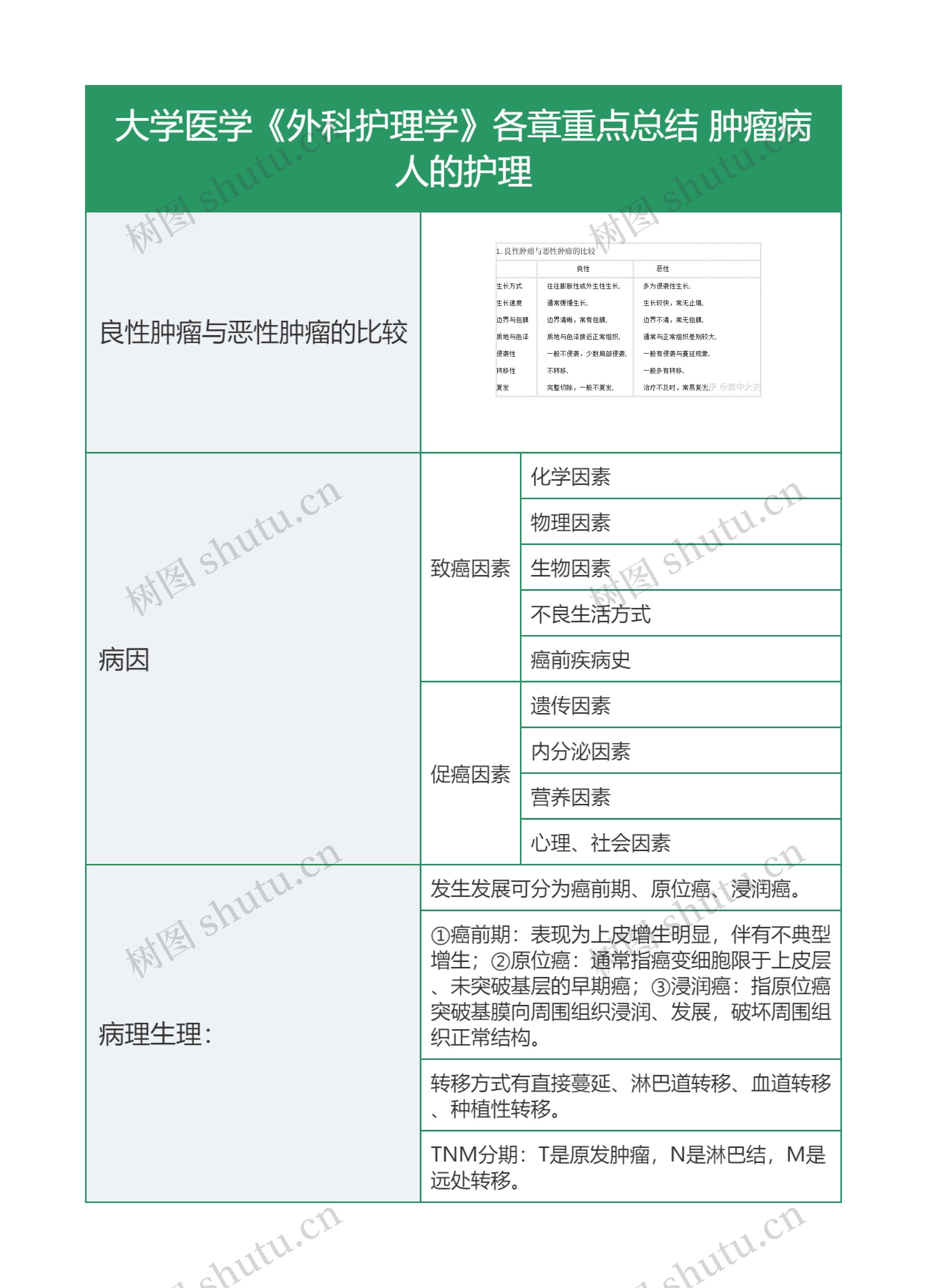 大学医学《外科护理学》各章重点总结 肿瘤病人的护理