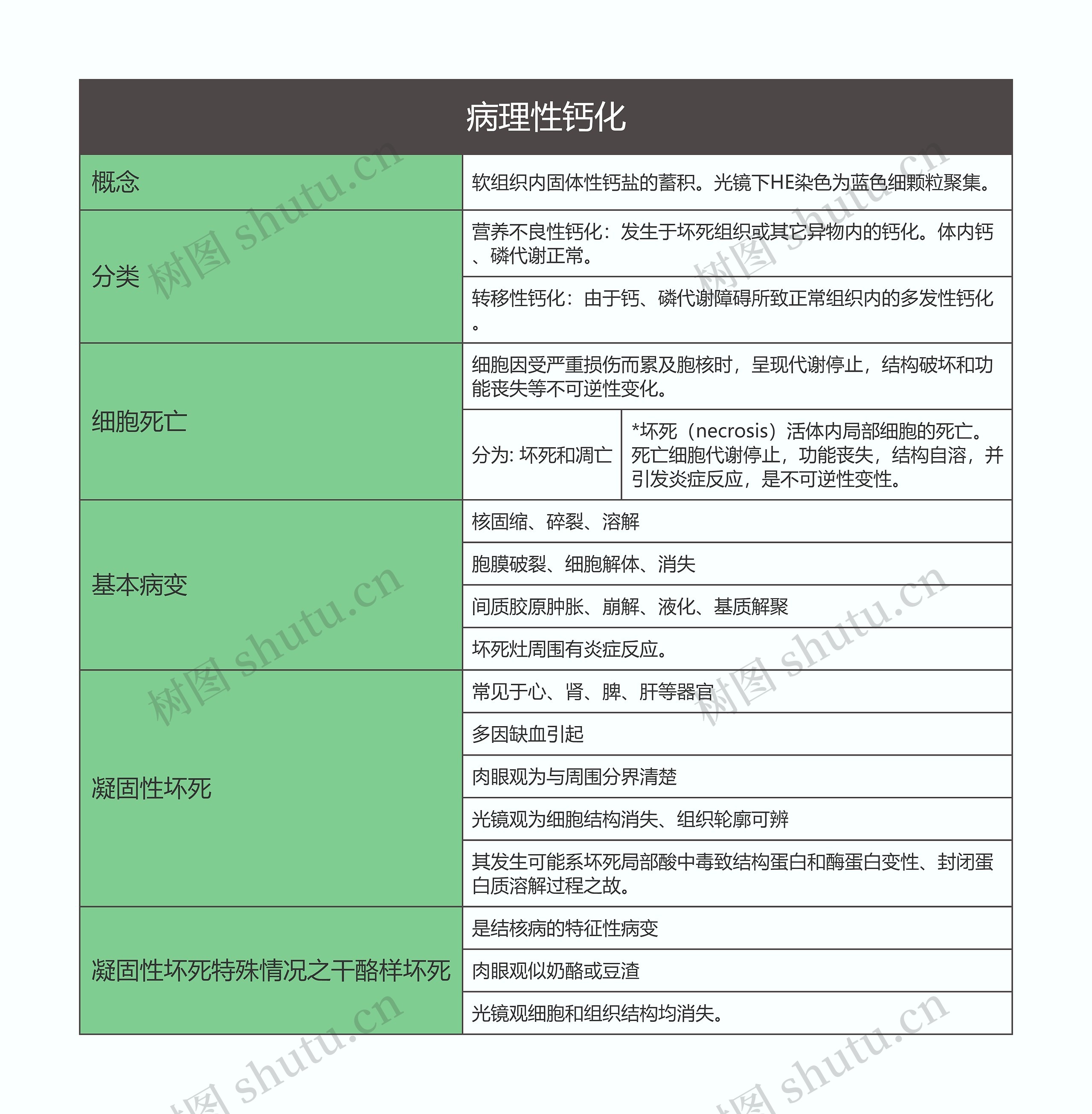 病理学  病理性钙化思维导图