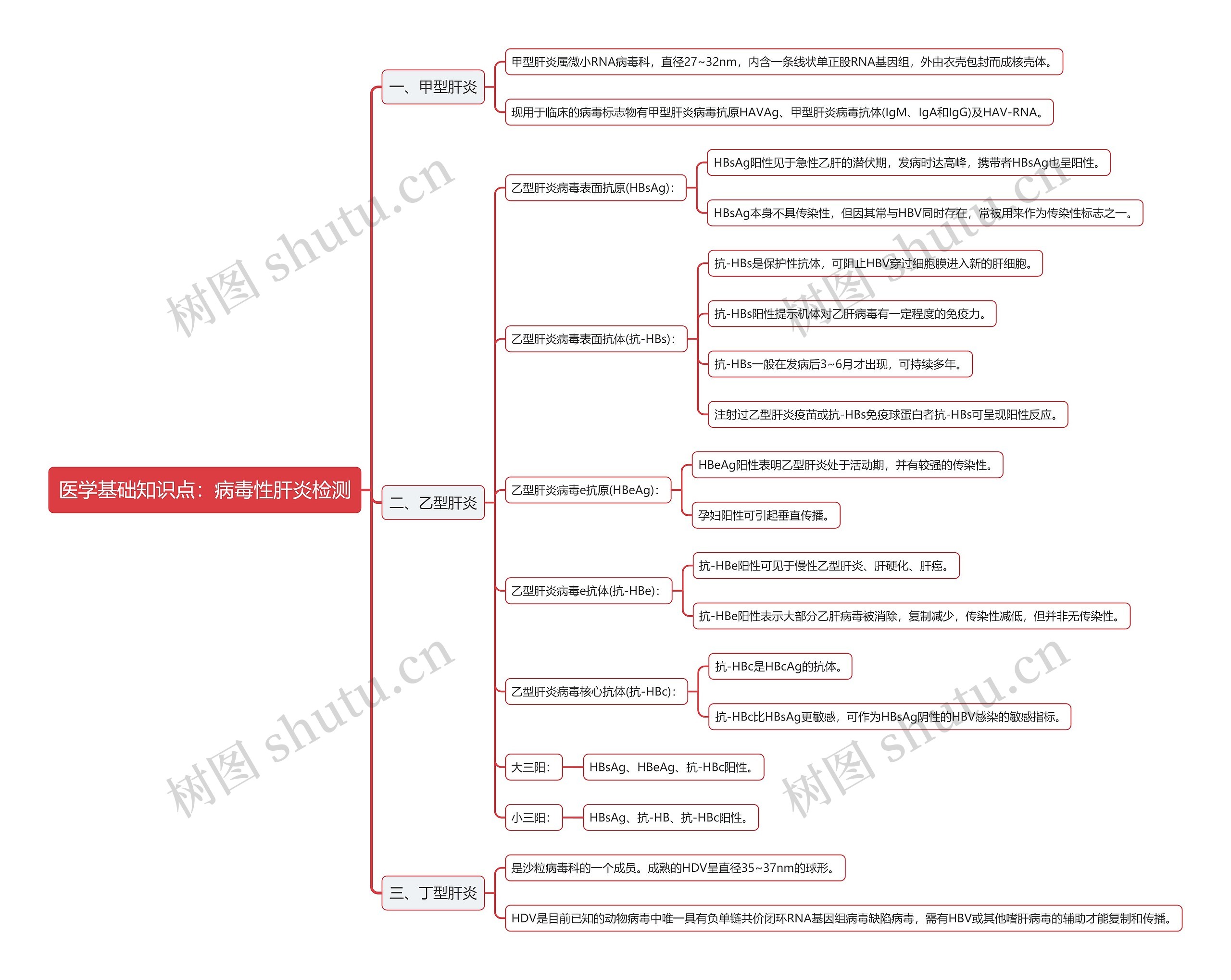 医学基础知识点：病毒性肝炎检测思维导图