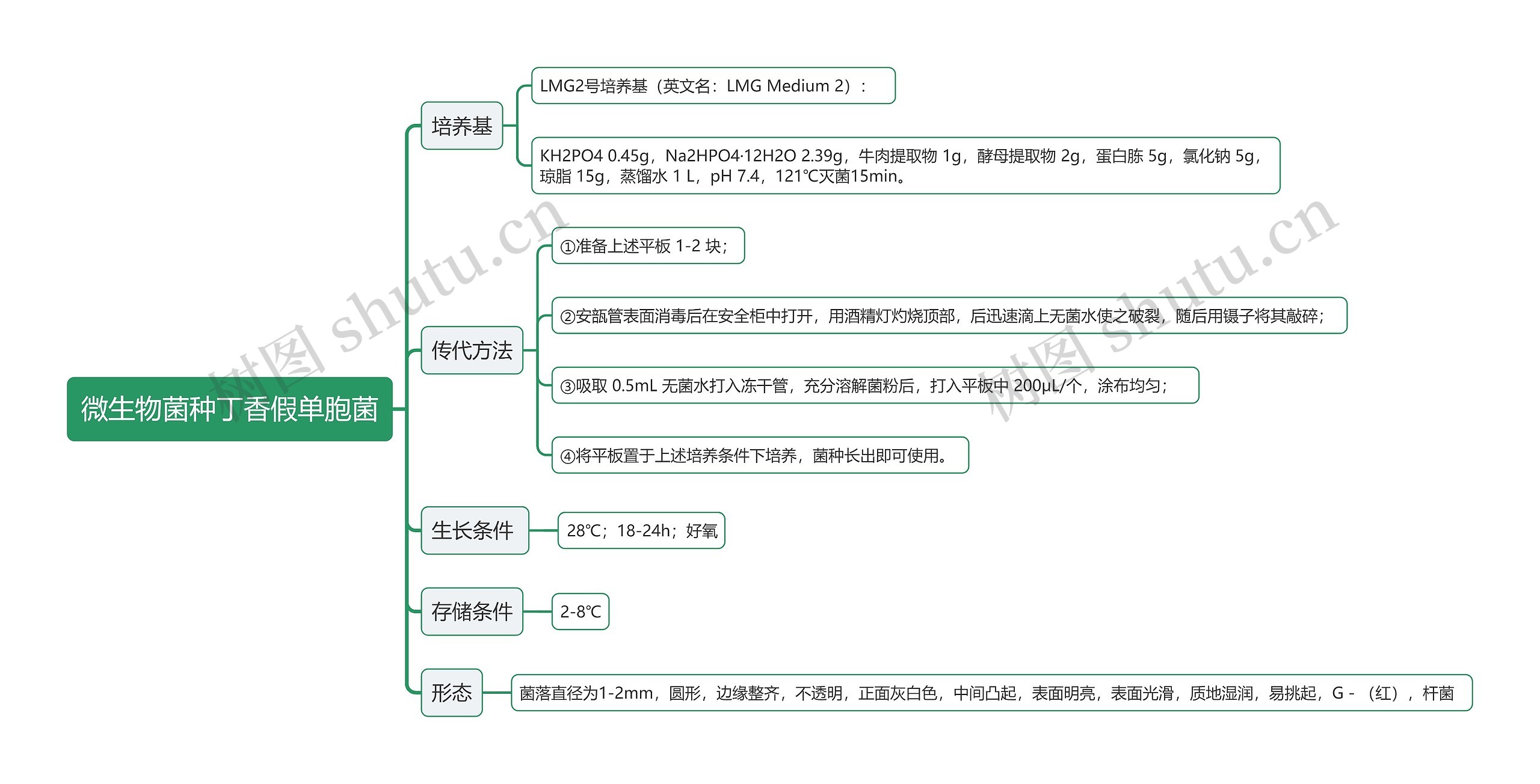 微生物菌种丁香假单胞菌思维导图