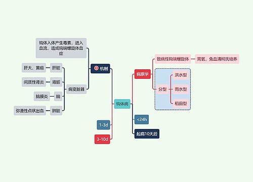 医学知识钩体病机制思维导图