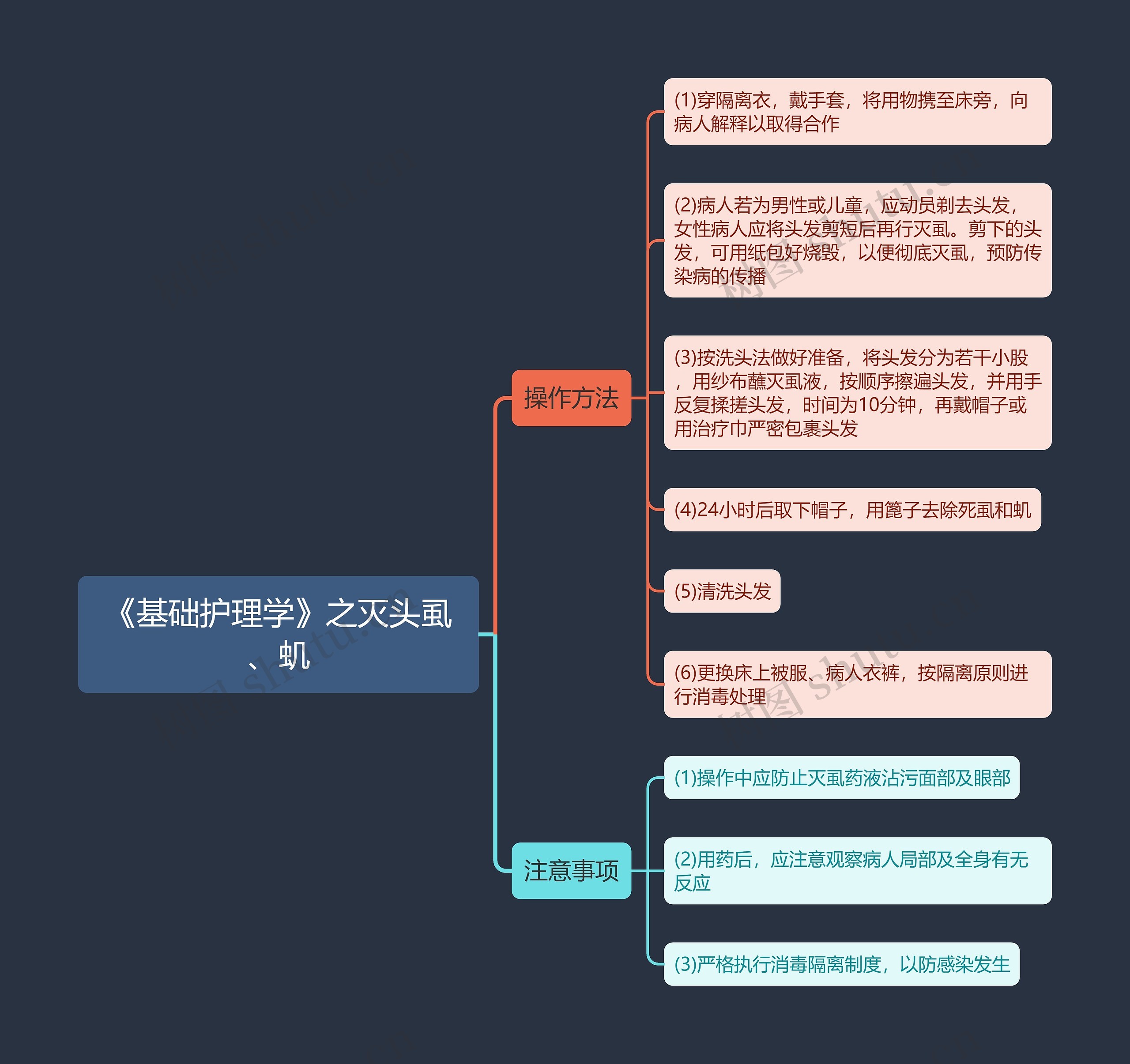 《基础护理学》之灭头虱、虮