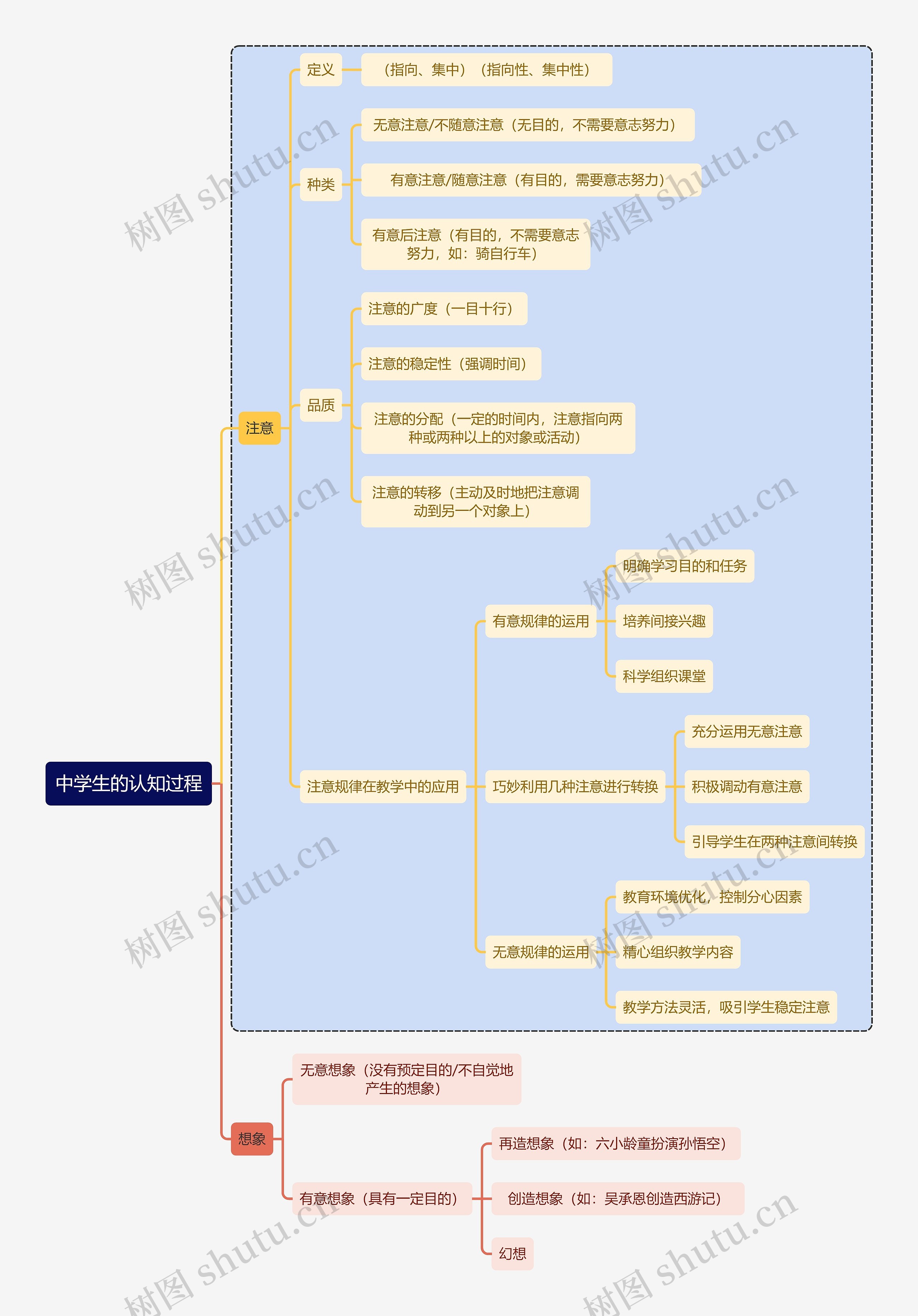 初中教育中学生的认知过程思维导图