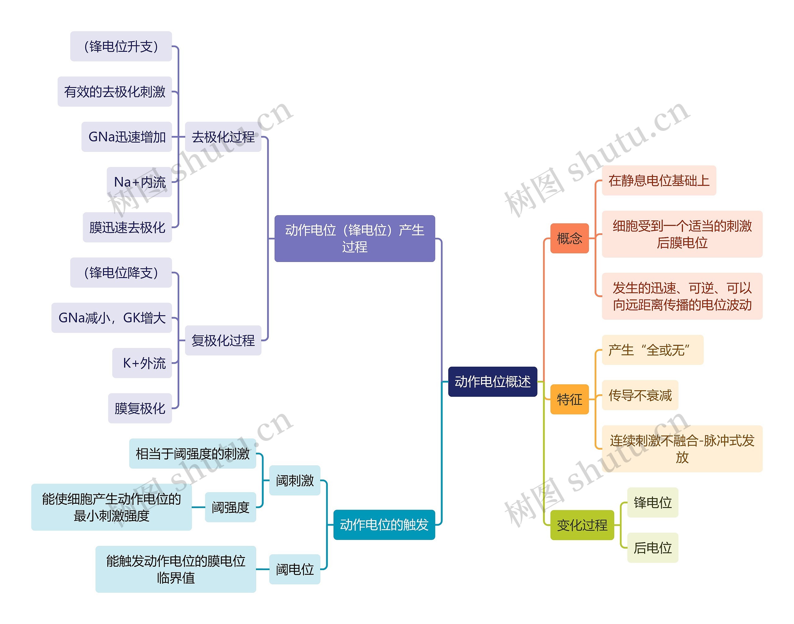 医学知识动作电位概述思维导图