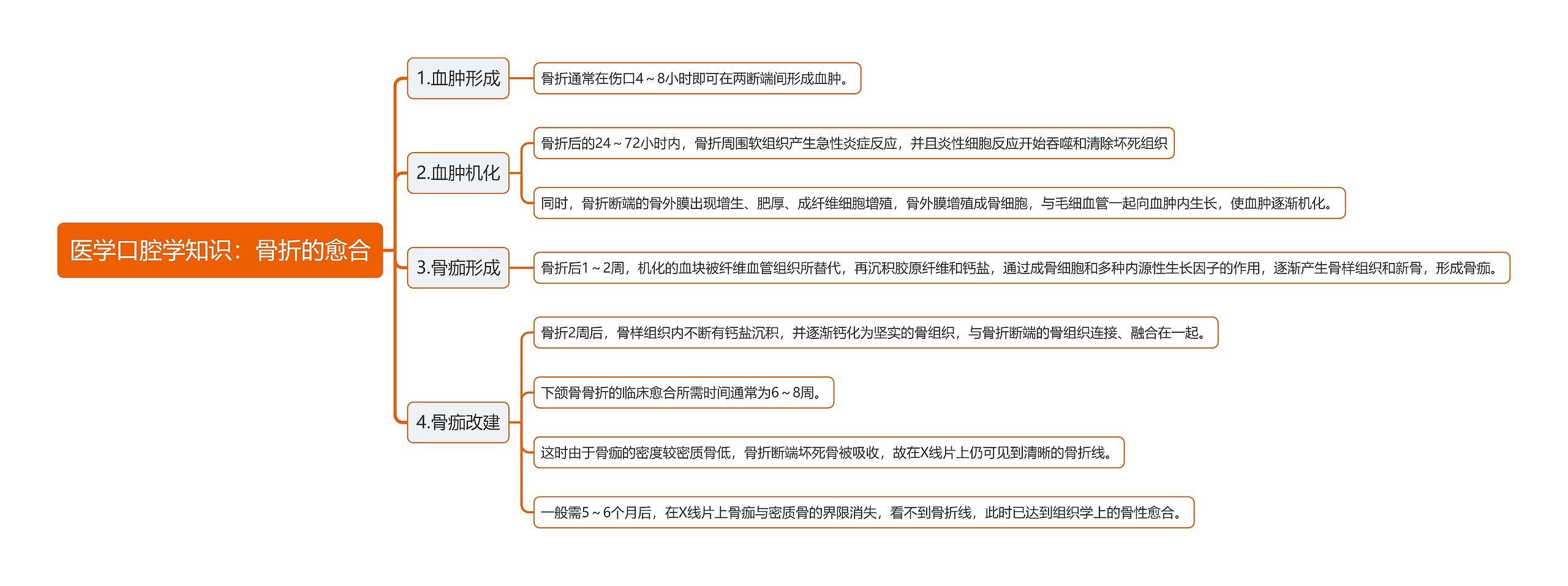 医学口腔学知识：骨折的愈合思维导图