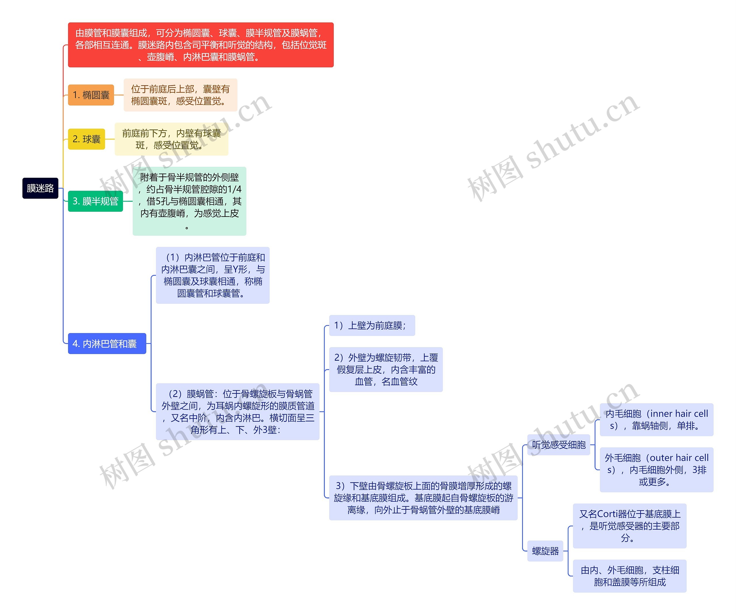 医学知识膜迷路思维导图