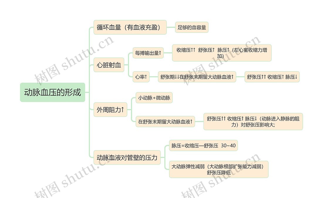医学知识动脉血压的形成思维导图_编号t5053723-TreeMind树图