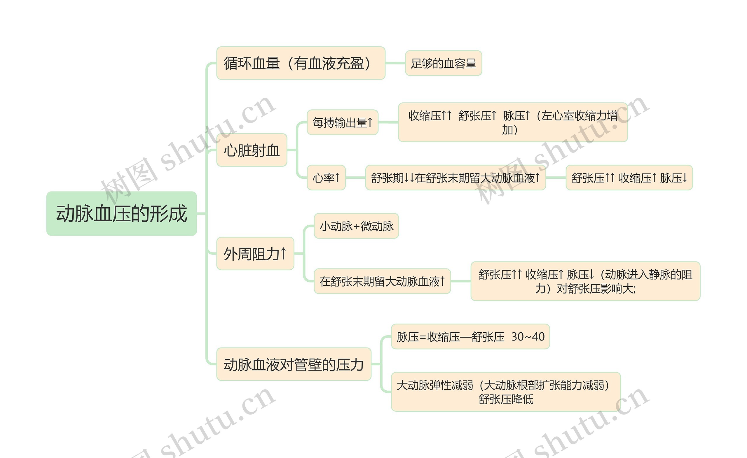 医学知识动脉血压的形成思维导图