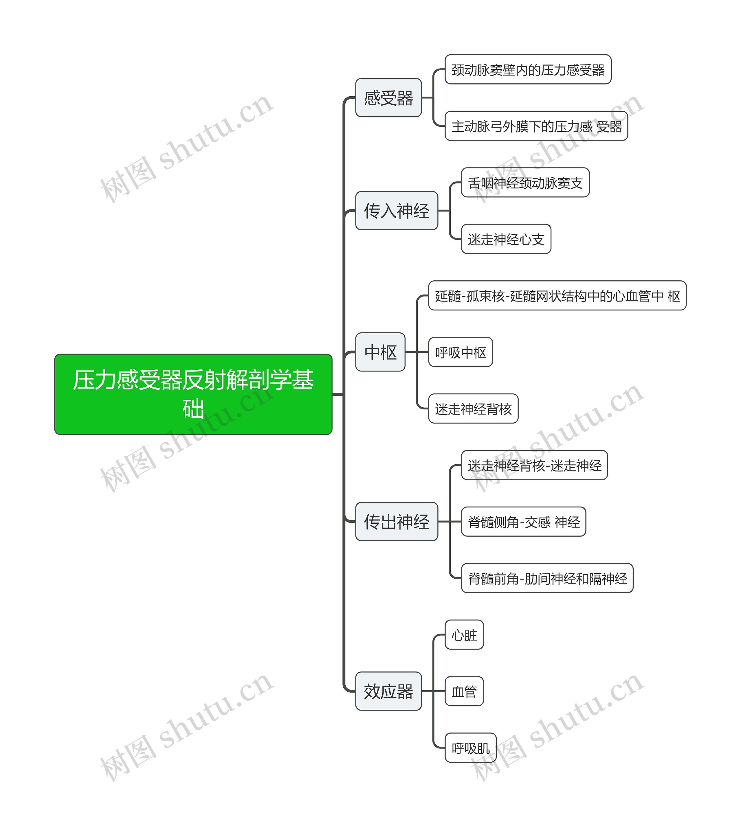 医学压力感受器反射解剖学基础思维导图