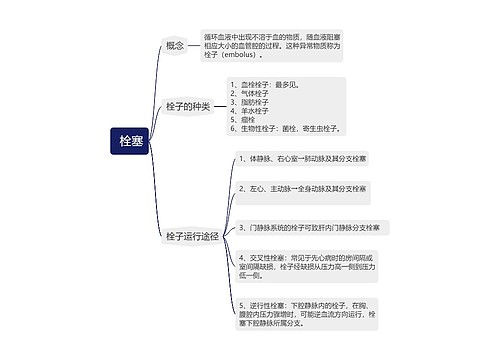  栓塞的思维导图