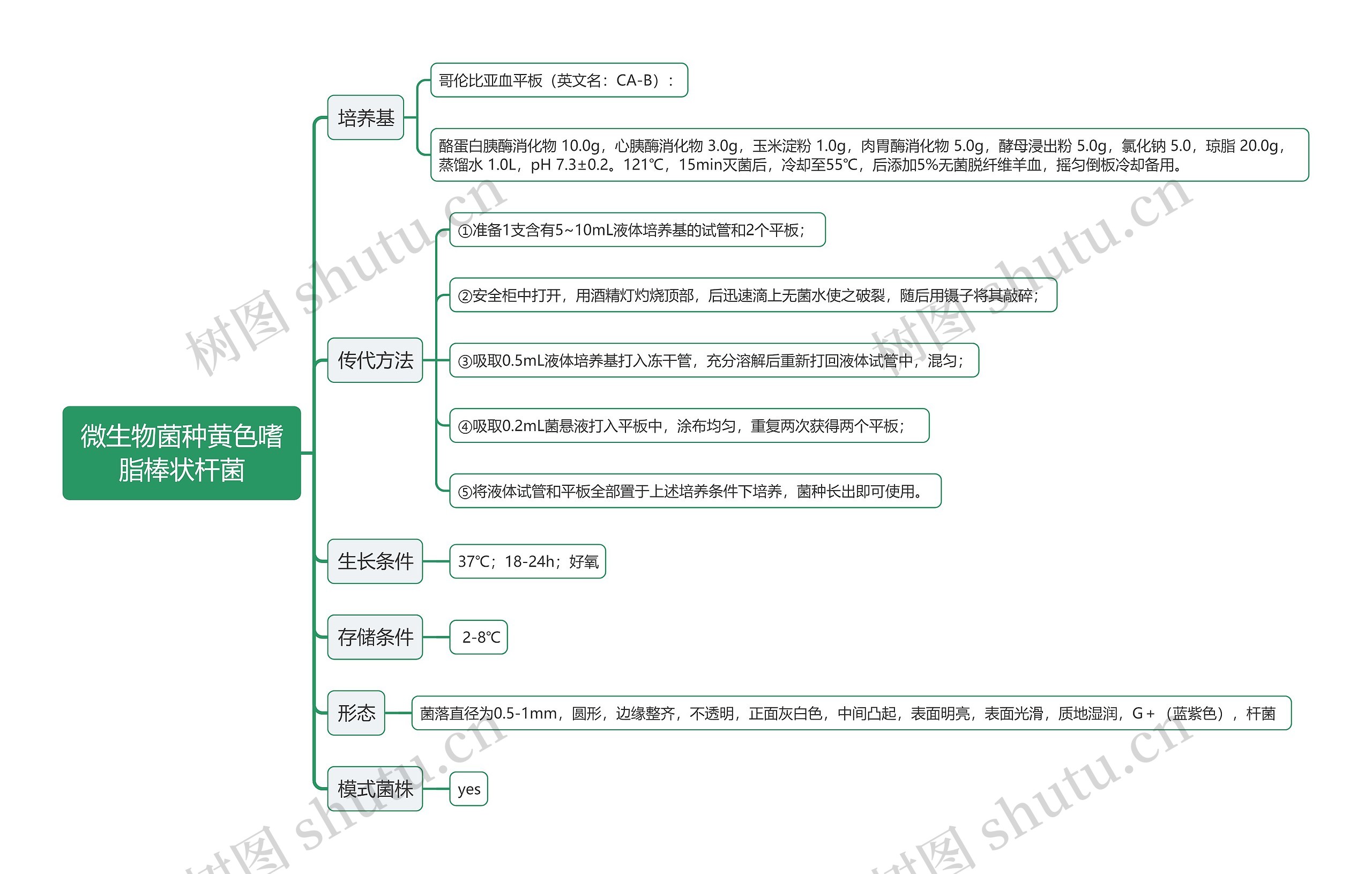 微生物菌种黄色嗜脂棒状杆菌思维导图