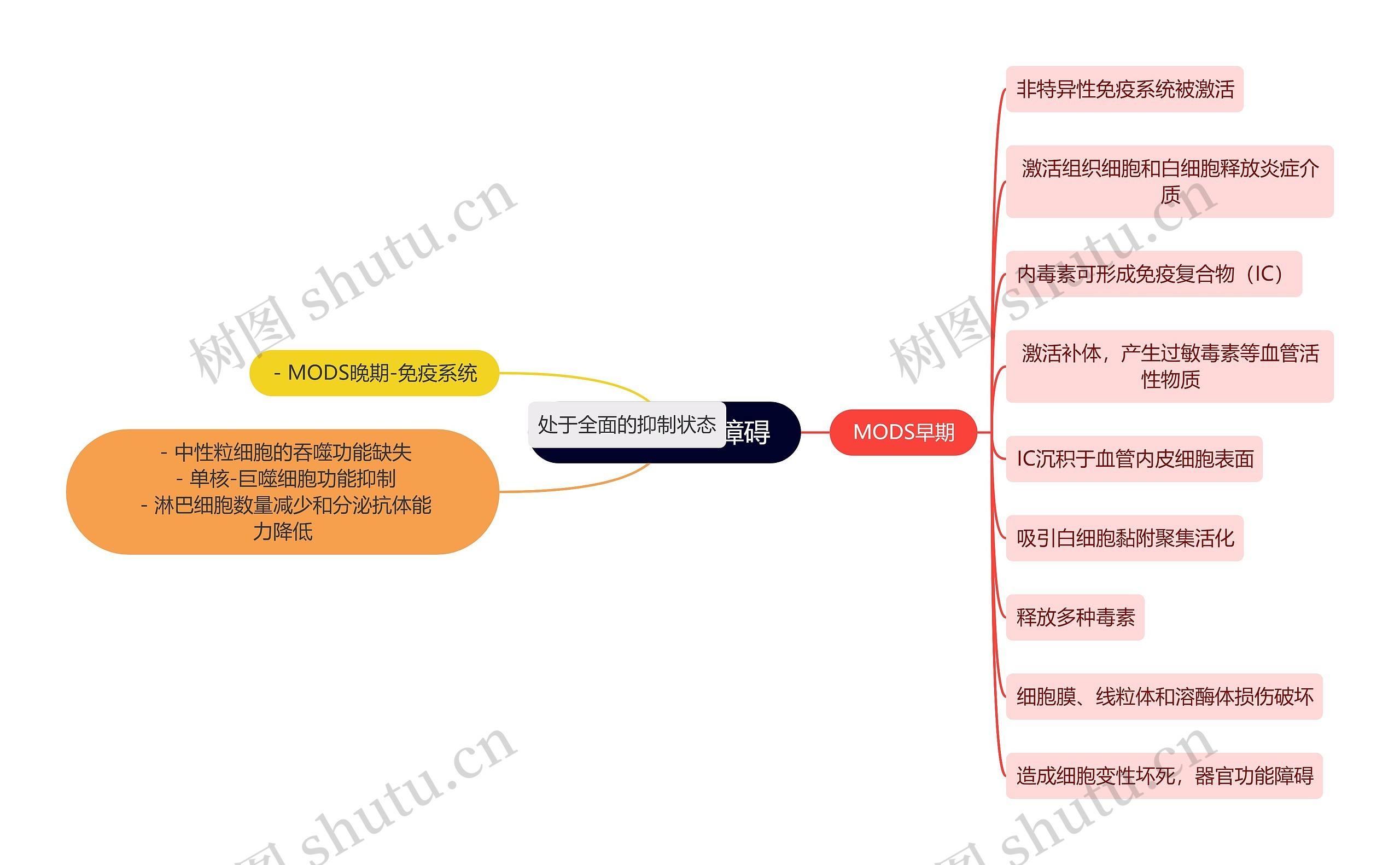 医学知识免疫系统功能障碍思维导图