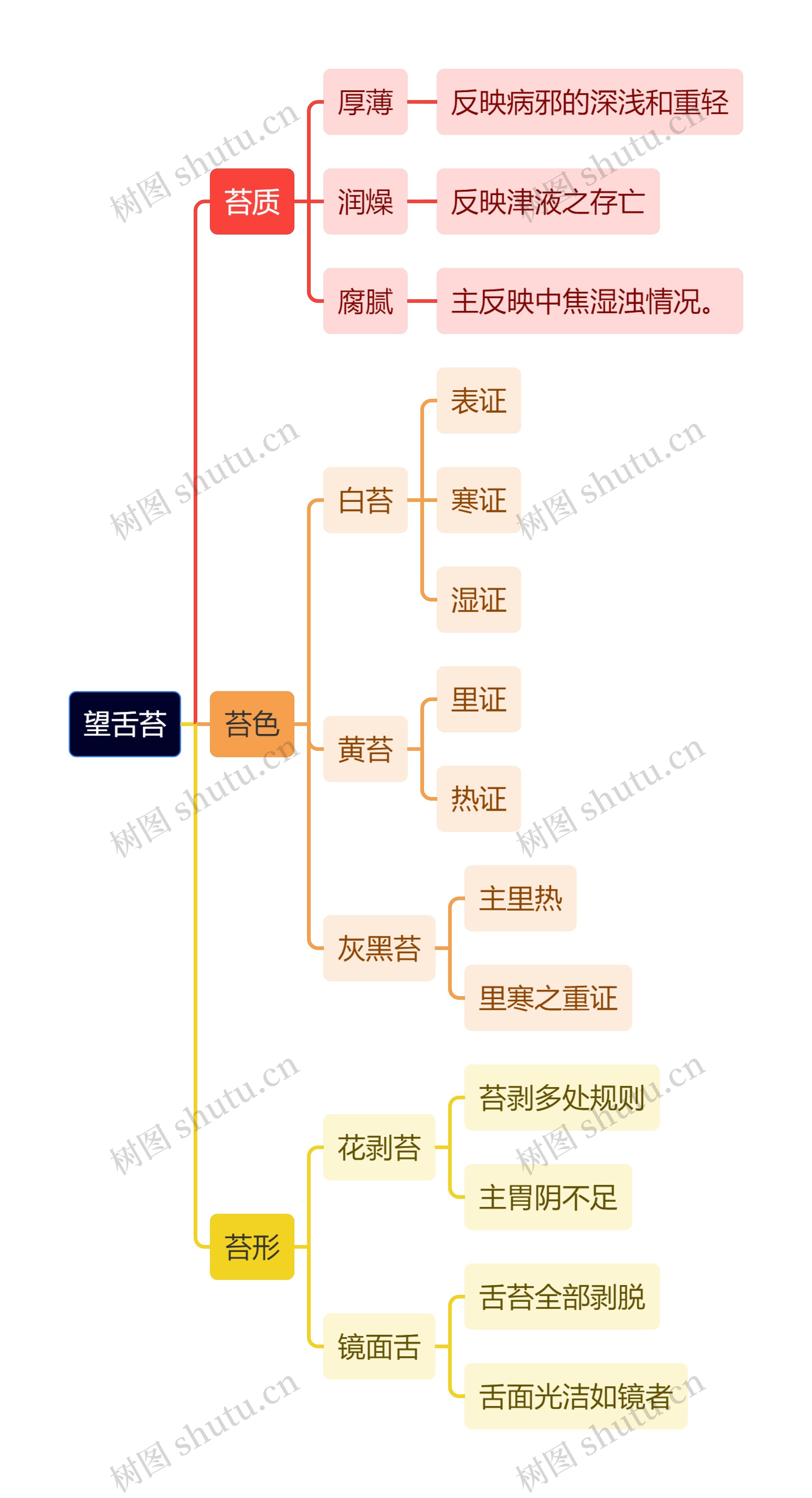 中医知识望舌苔思维导图