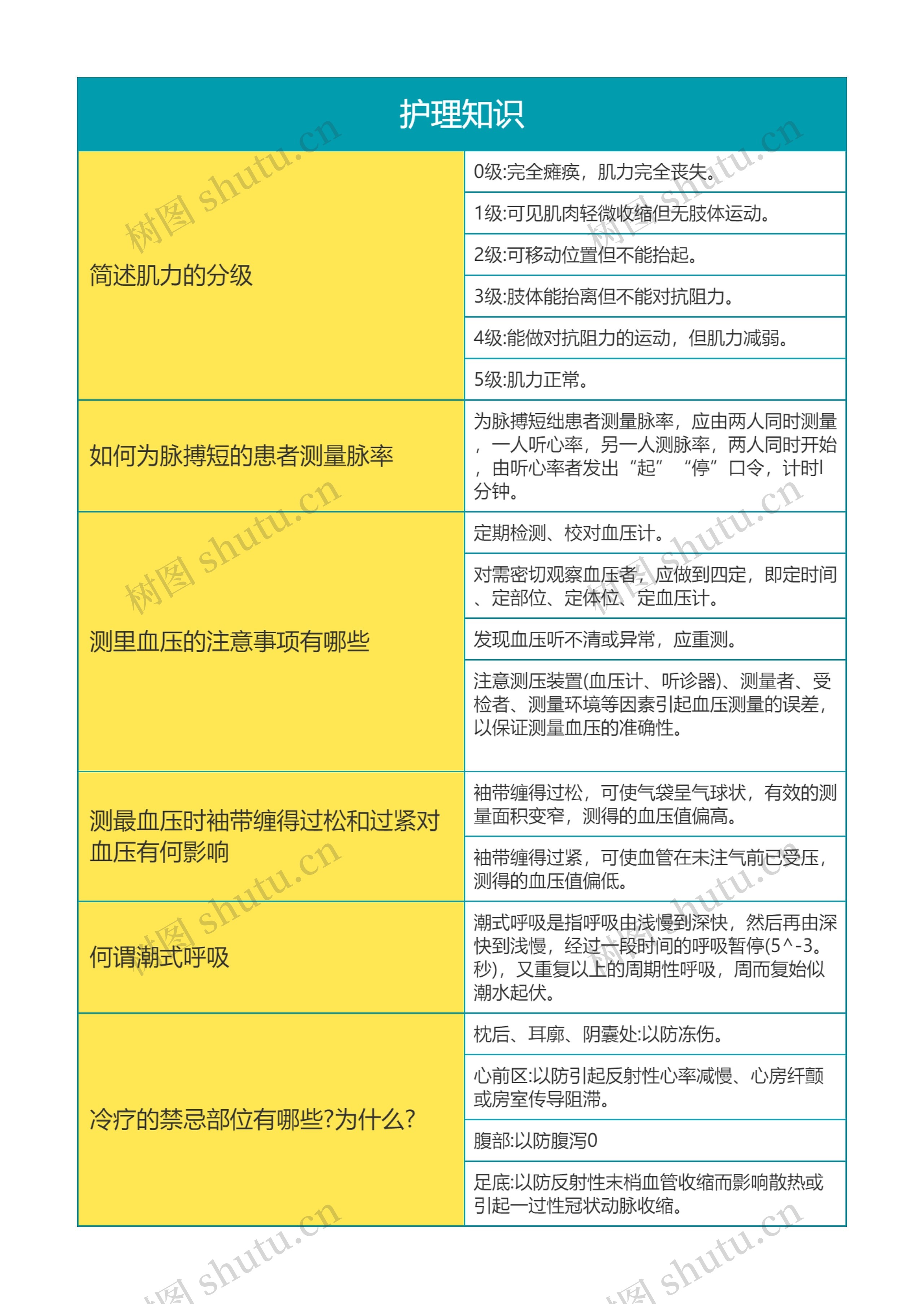 护士护理知识思维导图