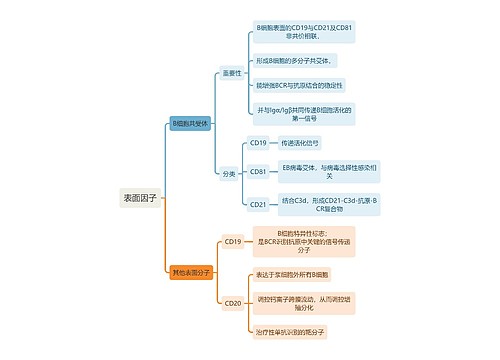 医学知识表面因子思维导图