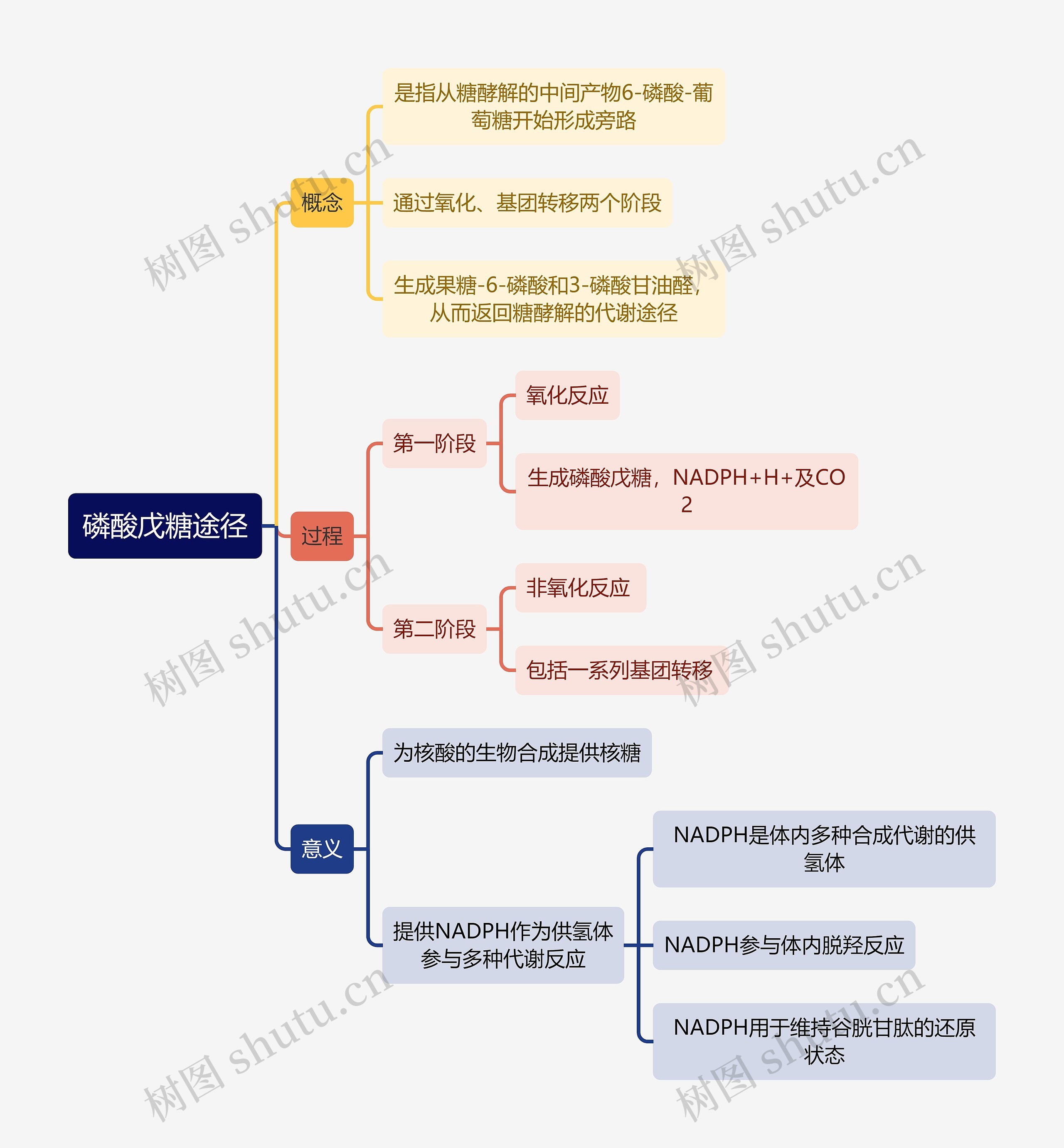 生化知识磷酸戊糖途径思维导图