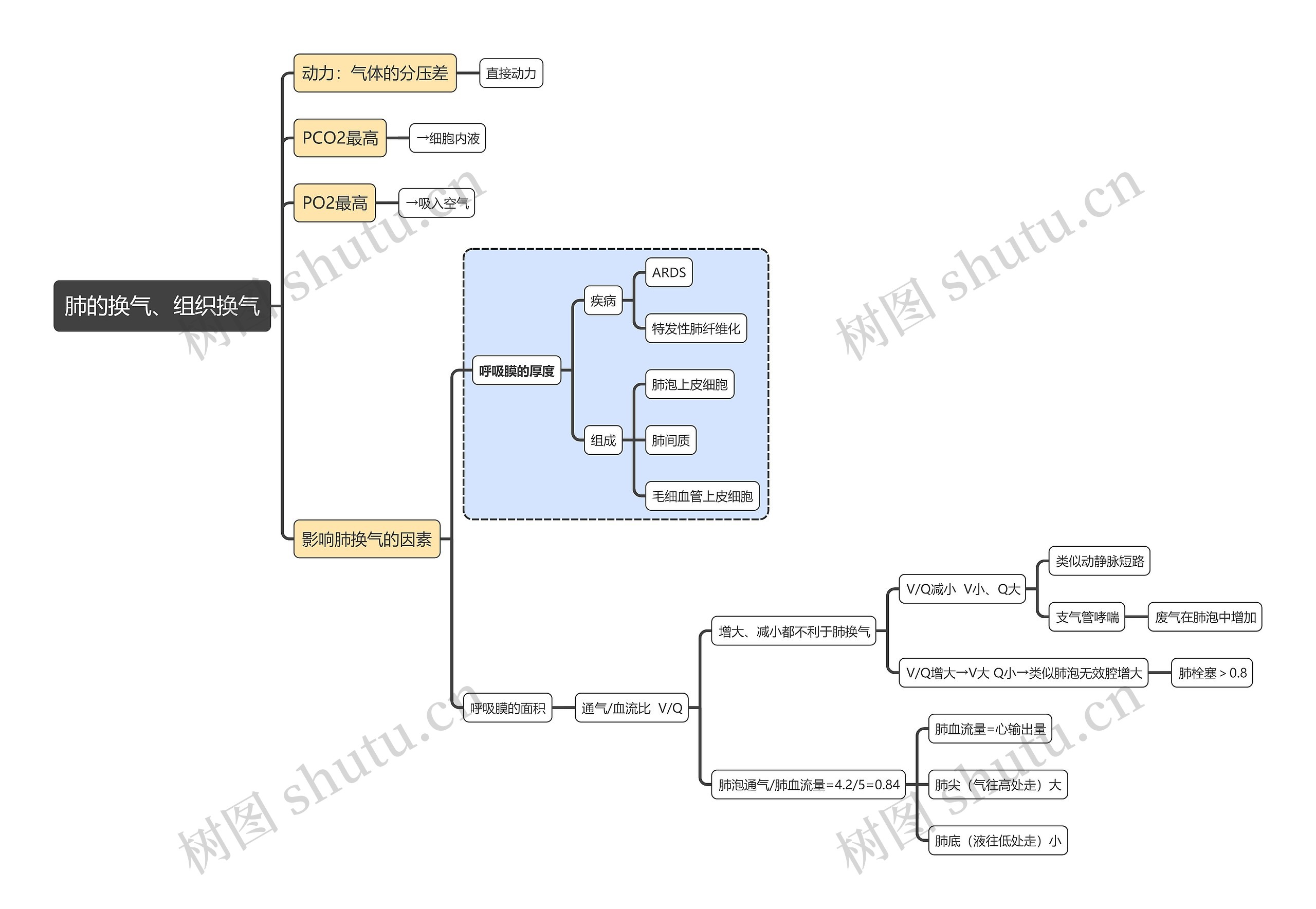医学知识肺的换气、组织换气思维导图