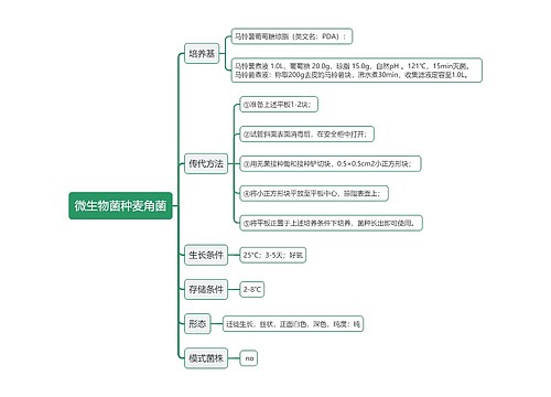 微生物菌种麦角菌思维导图