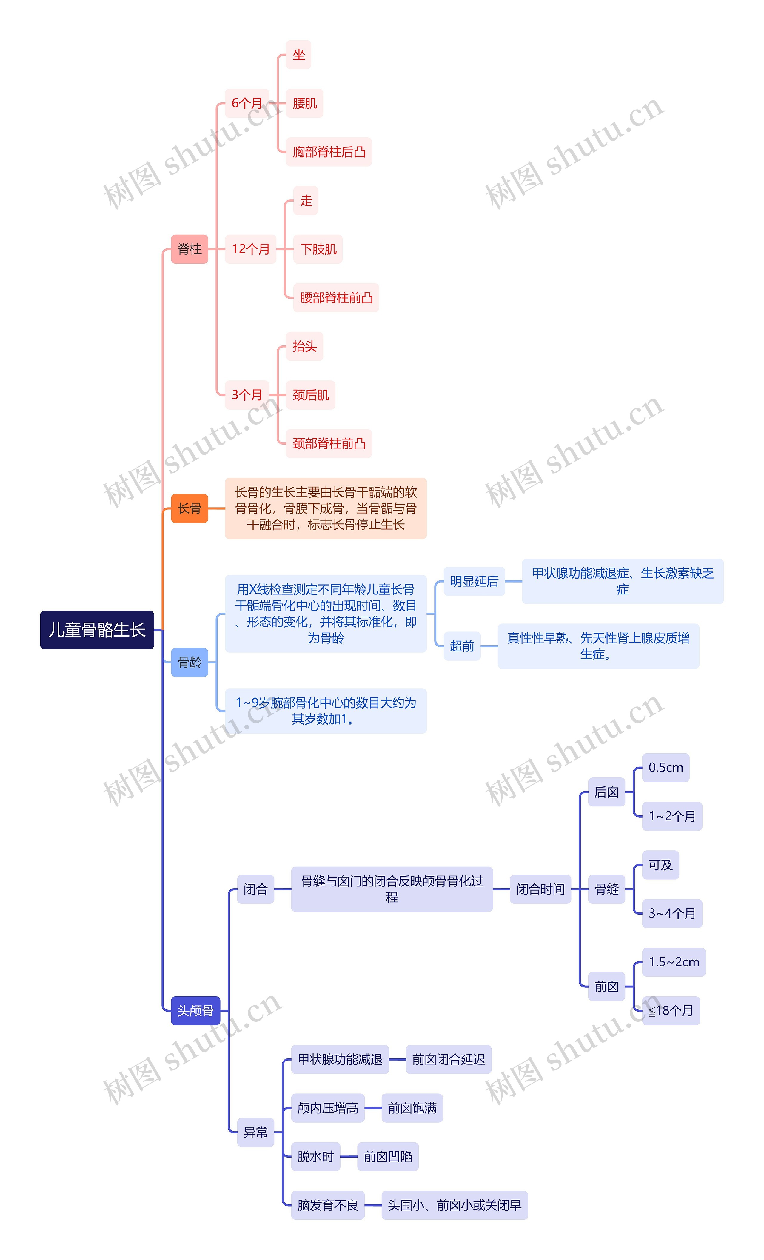 医学知识儿童骨骼生长思维导图