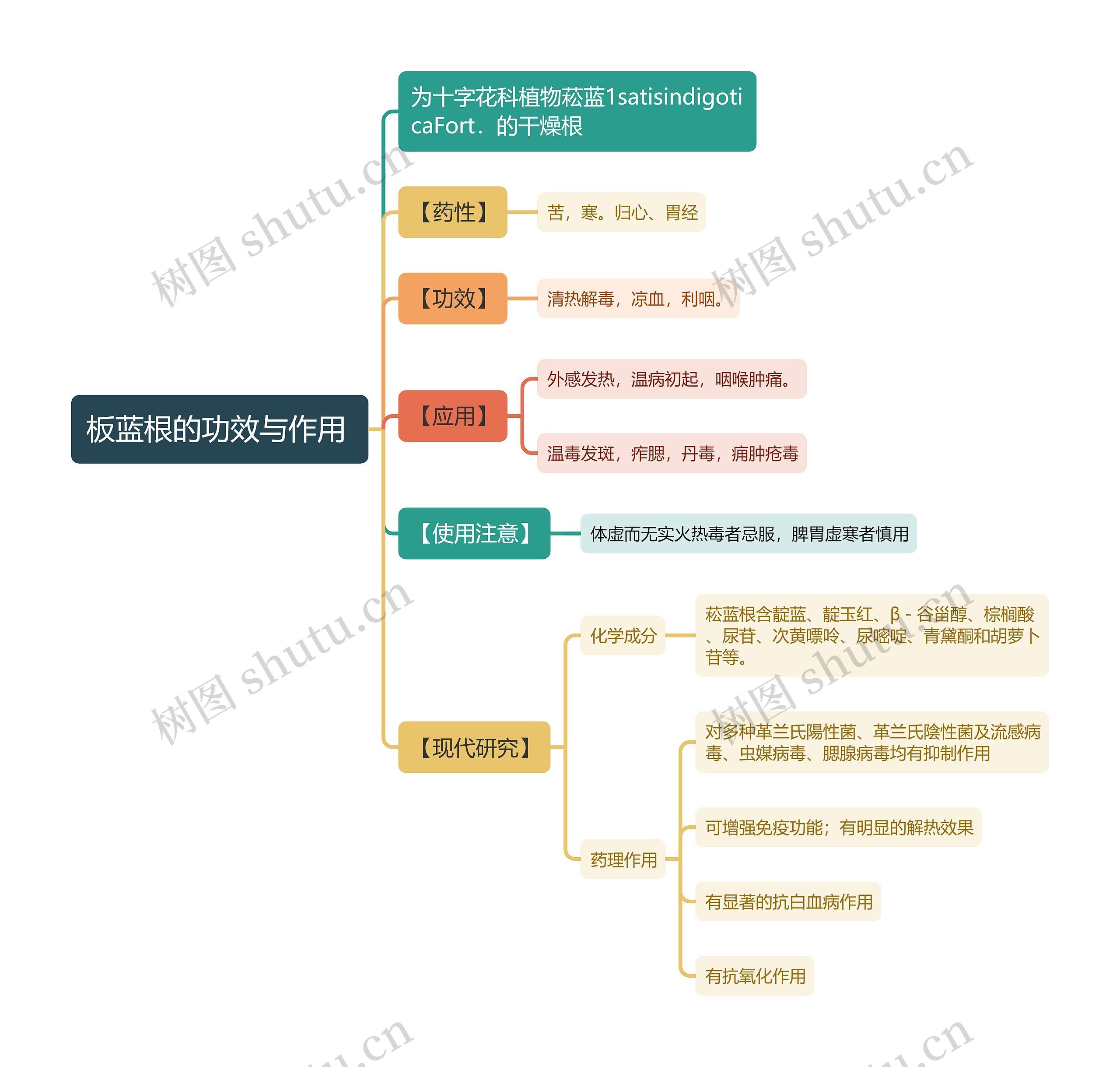 板蓝根的功效与作用
思维导图