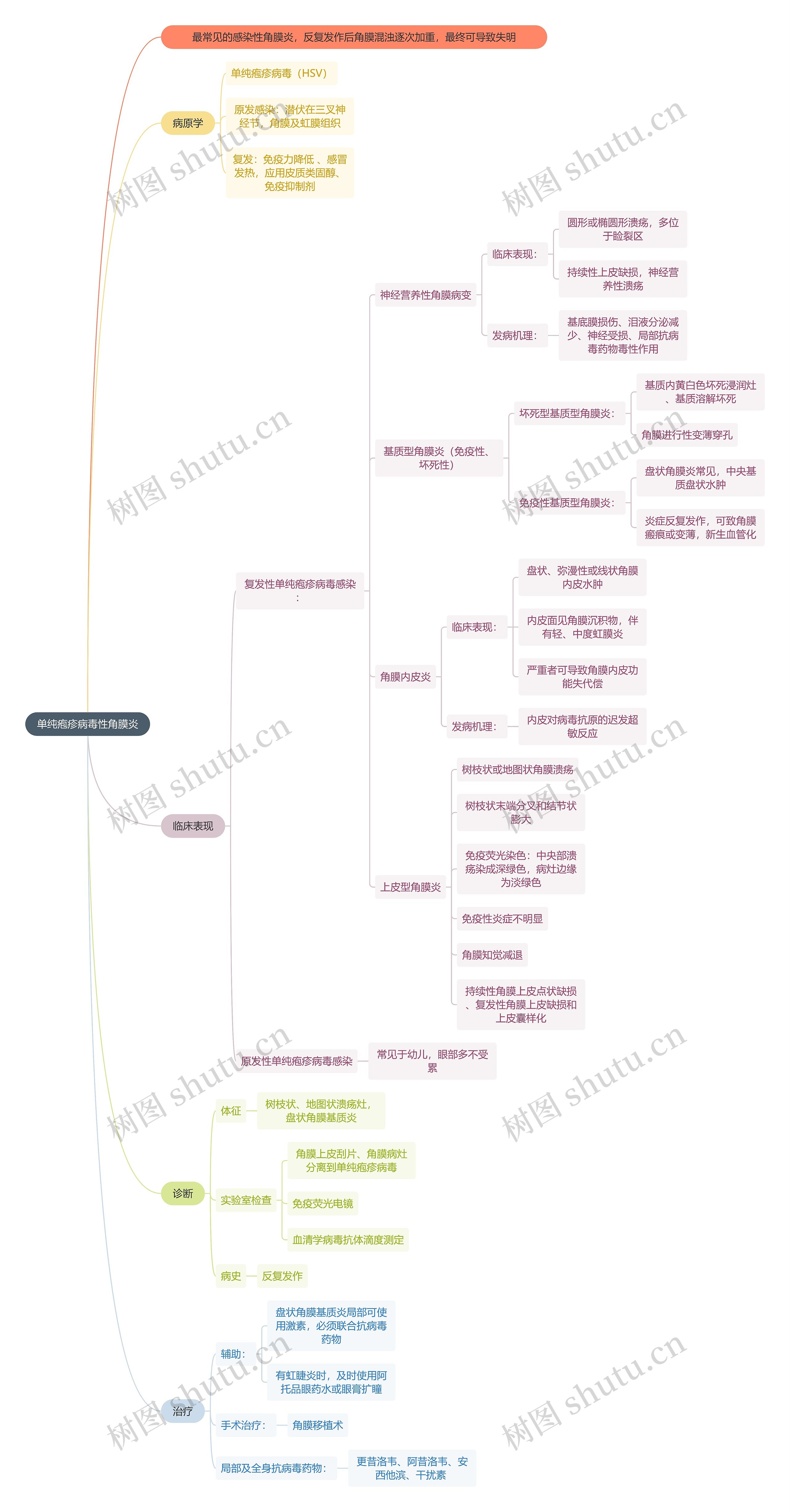 医学知识单纯疱疹病毒性角膜炎思维导图