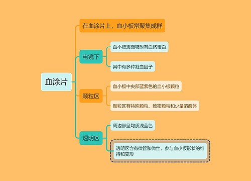 医学知识血涂片思维导图