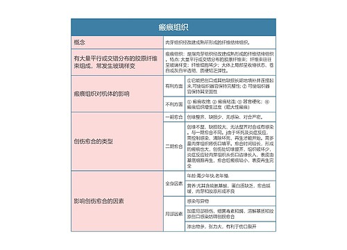 病理学  瘢痕组织思维导图