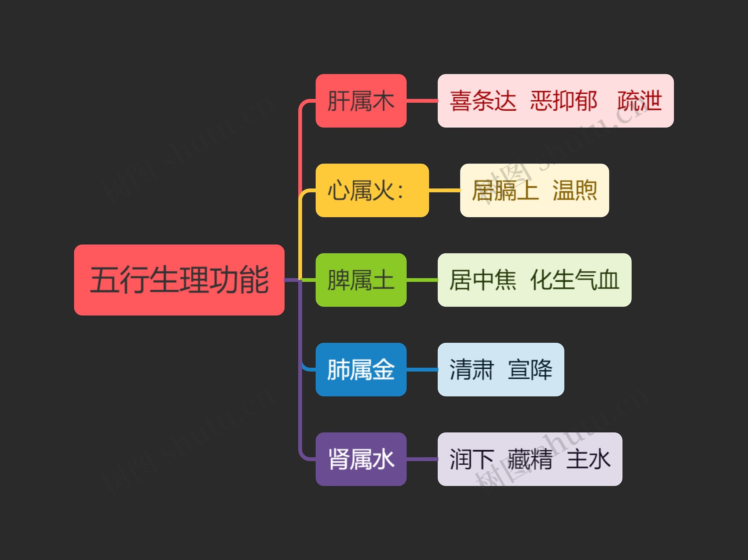 中医知识五行生理功能思维导图